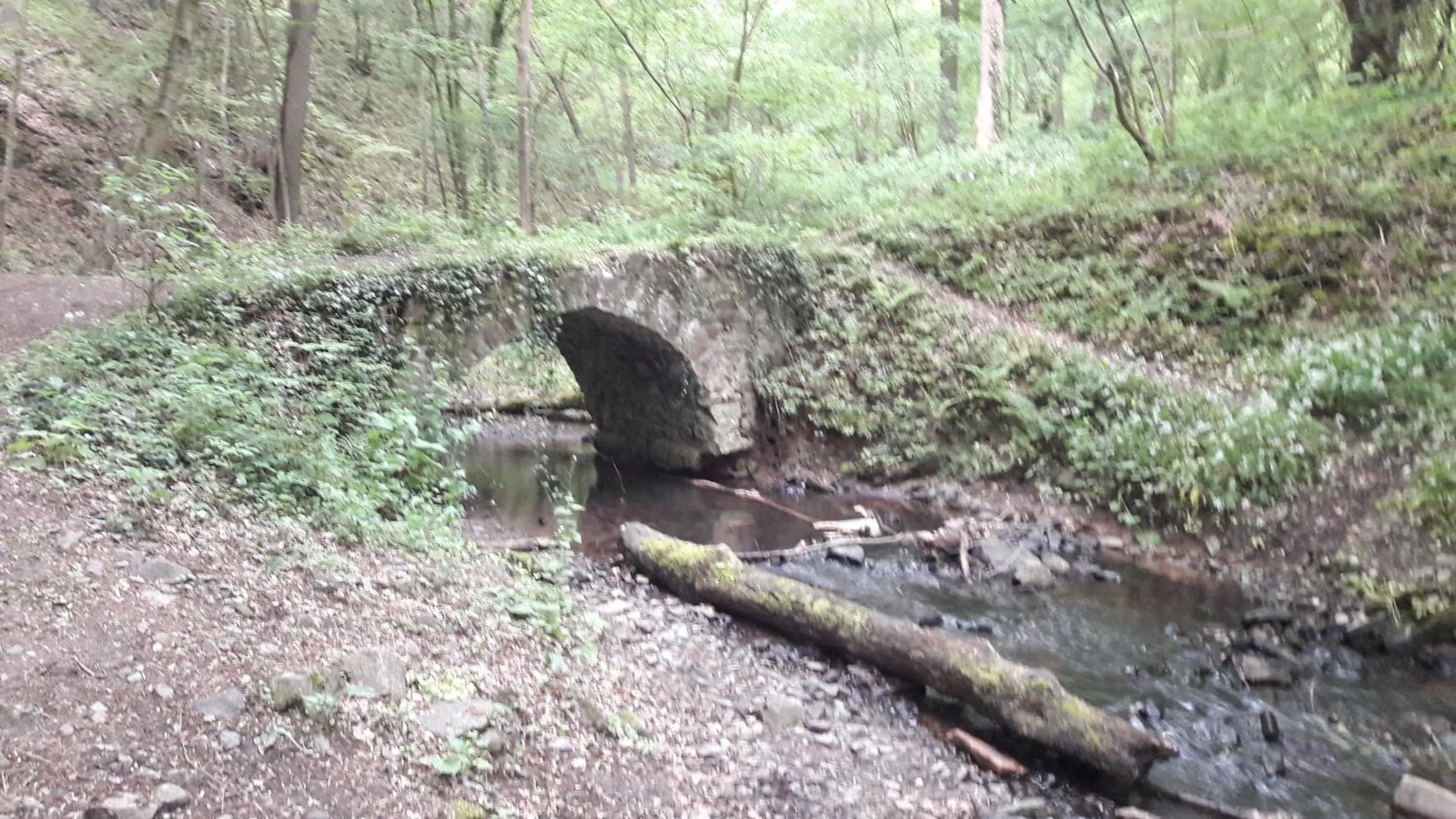 Natural landscape in Office des bons enfants