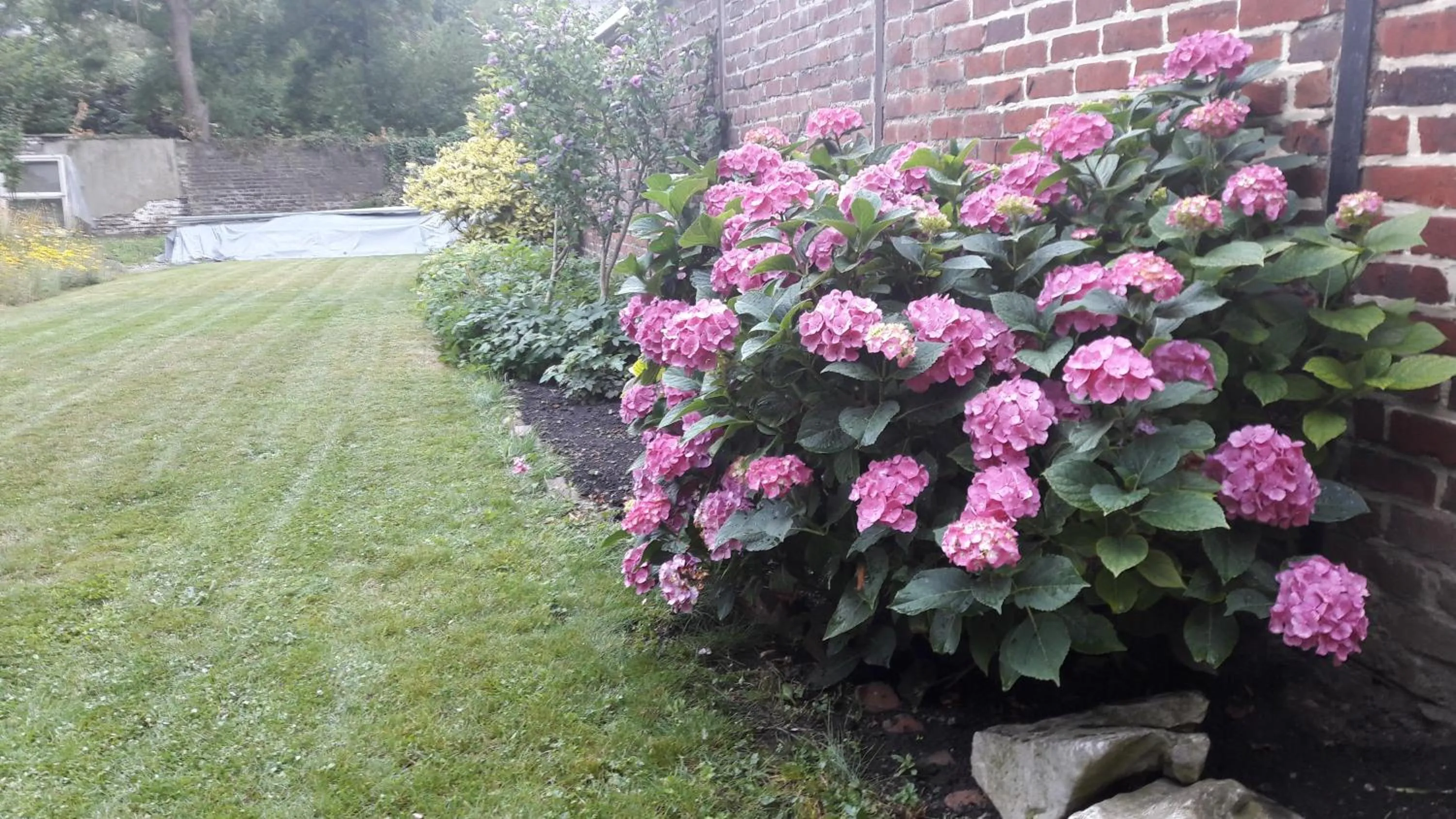 Garden in Office des bons enfants