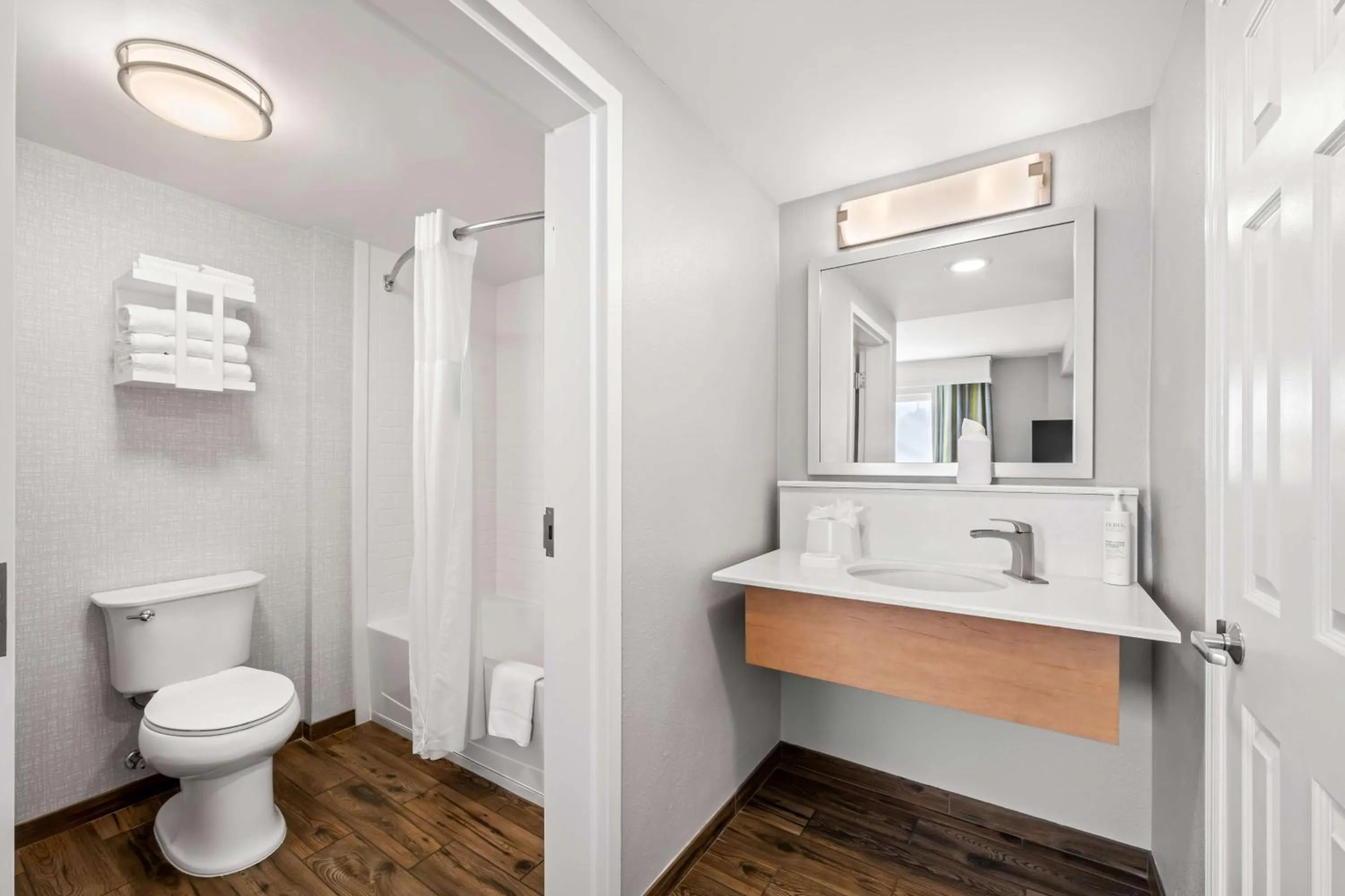 Bathroom in Hampton Inn & Suites Wilson I-95