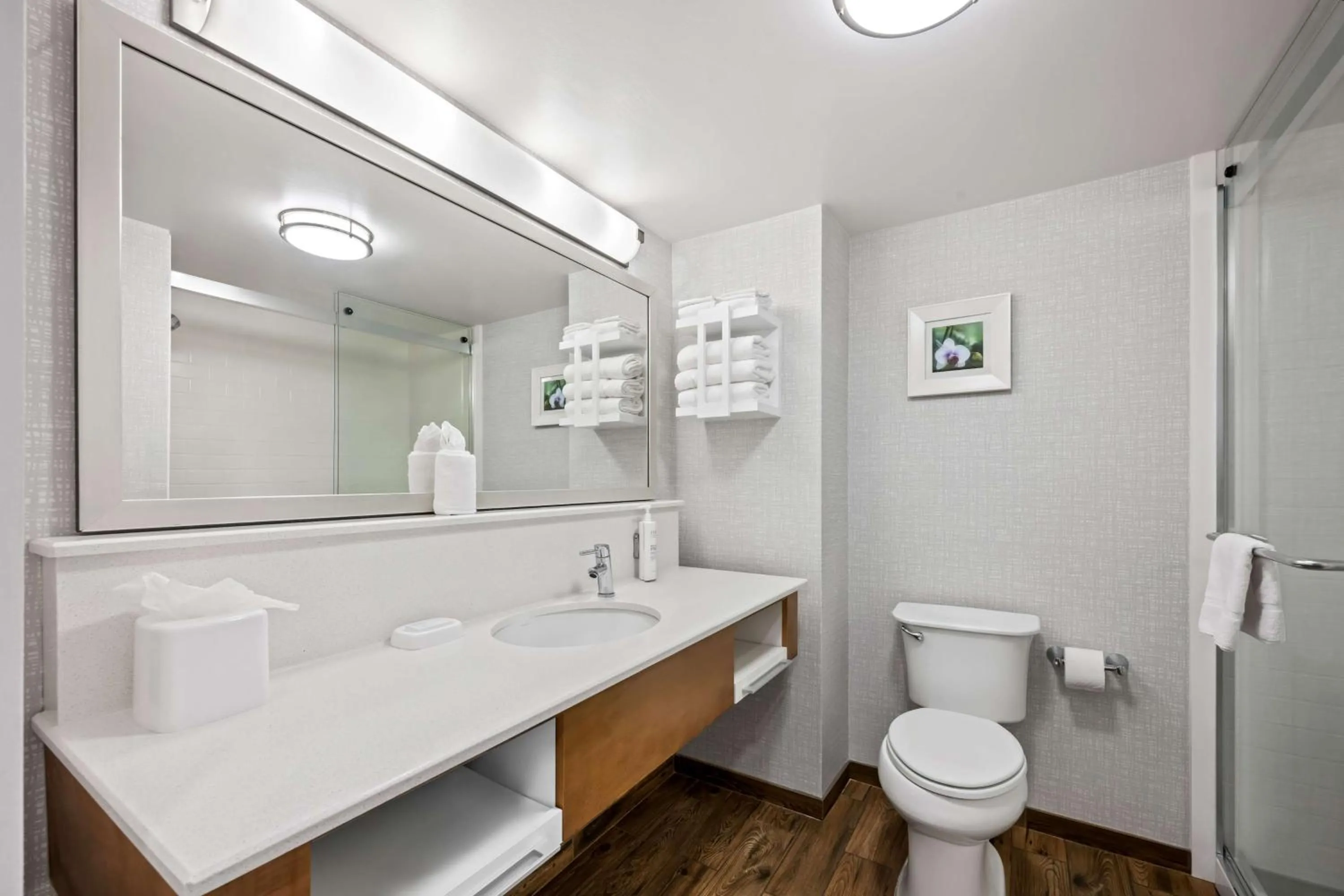 Bathroom in Hampton Inn & Suites Wilson I-95