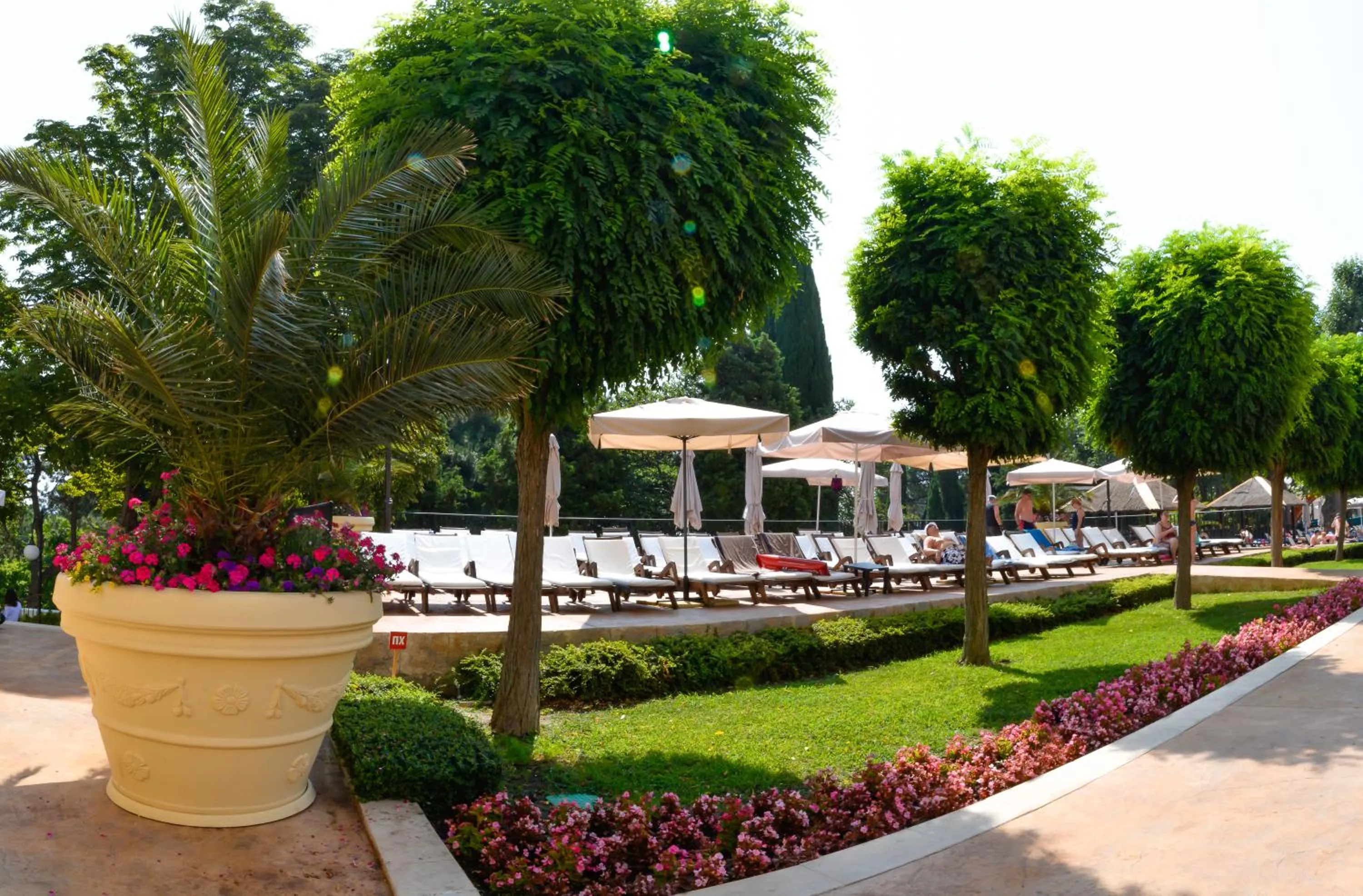 Other in Melia Grand Hermitage All Inclusive