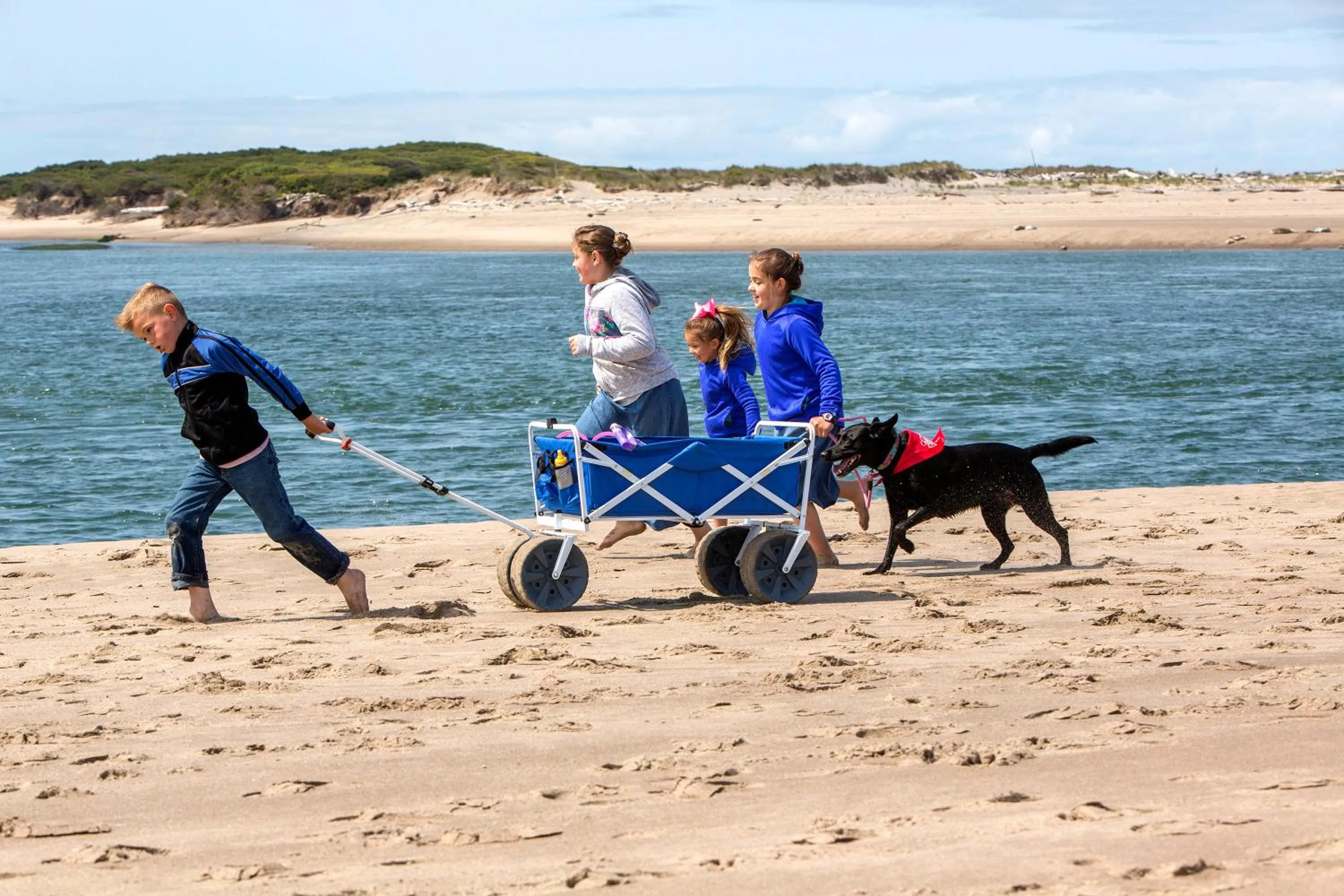 Beach in Looking Glass Inn