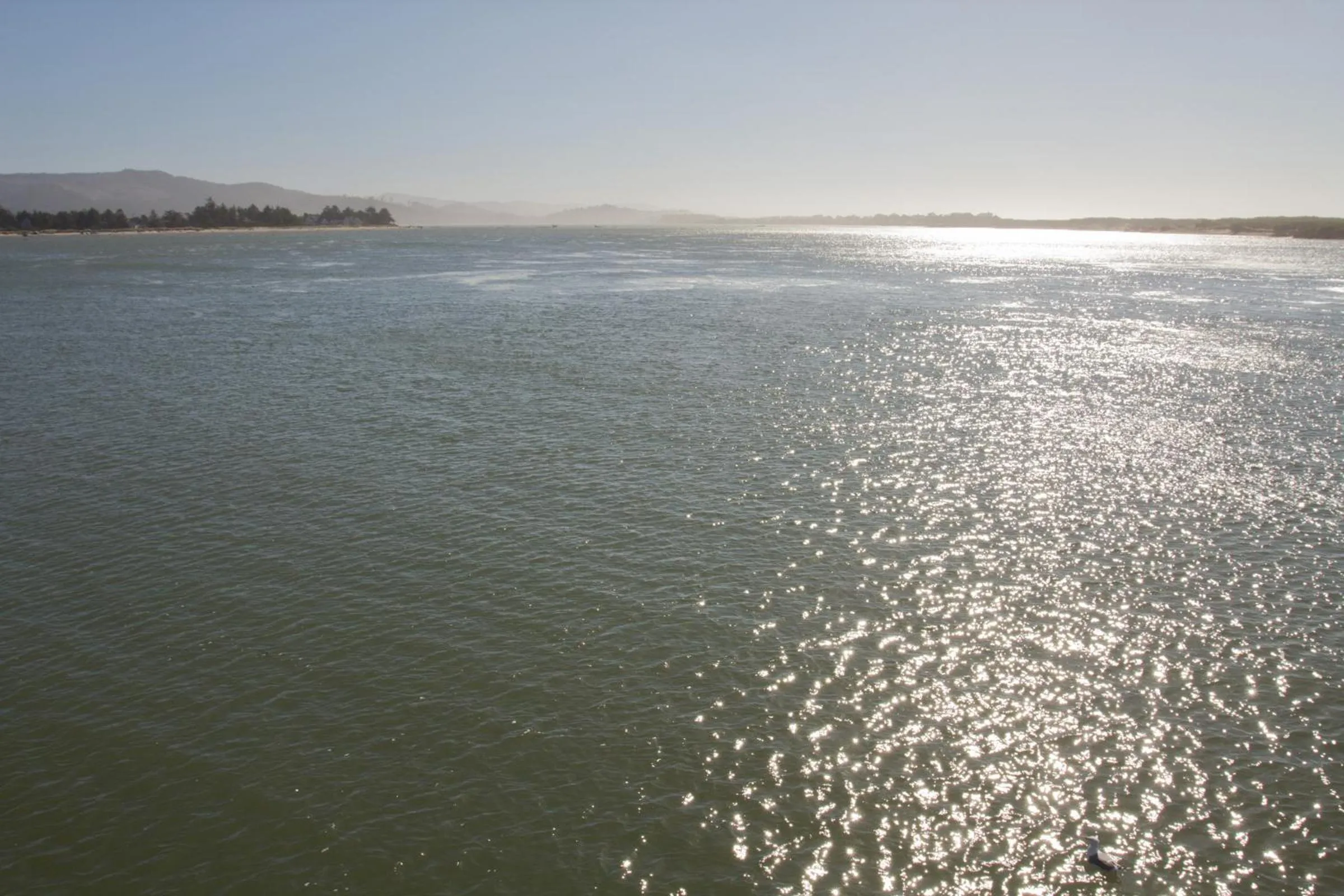 Area and facilities in Looking Glass Inn