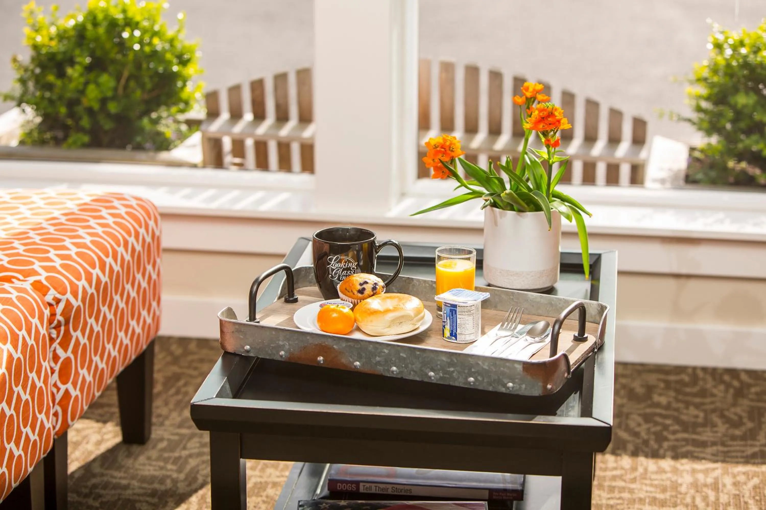 Area and facilities in Looking Glass Inn