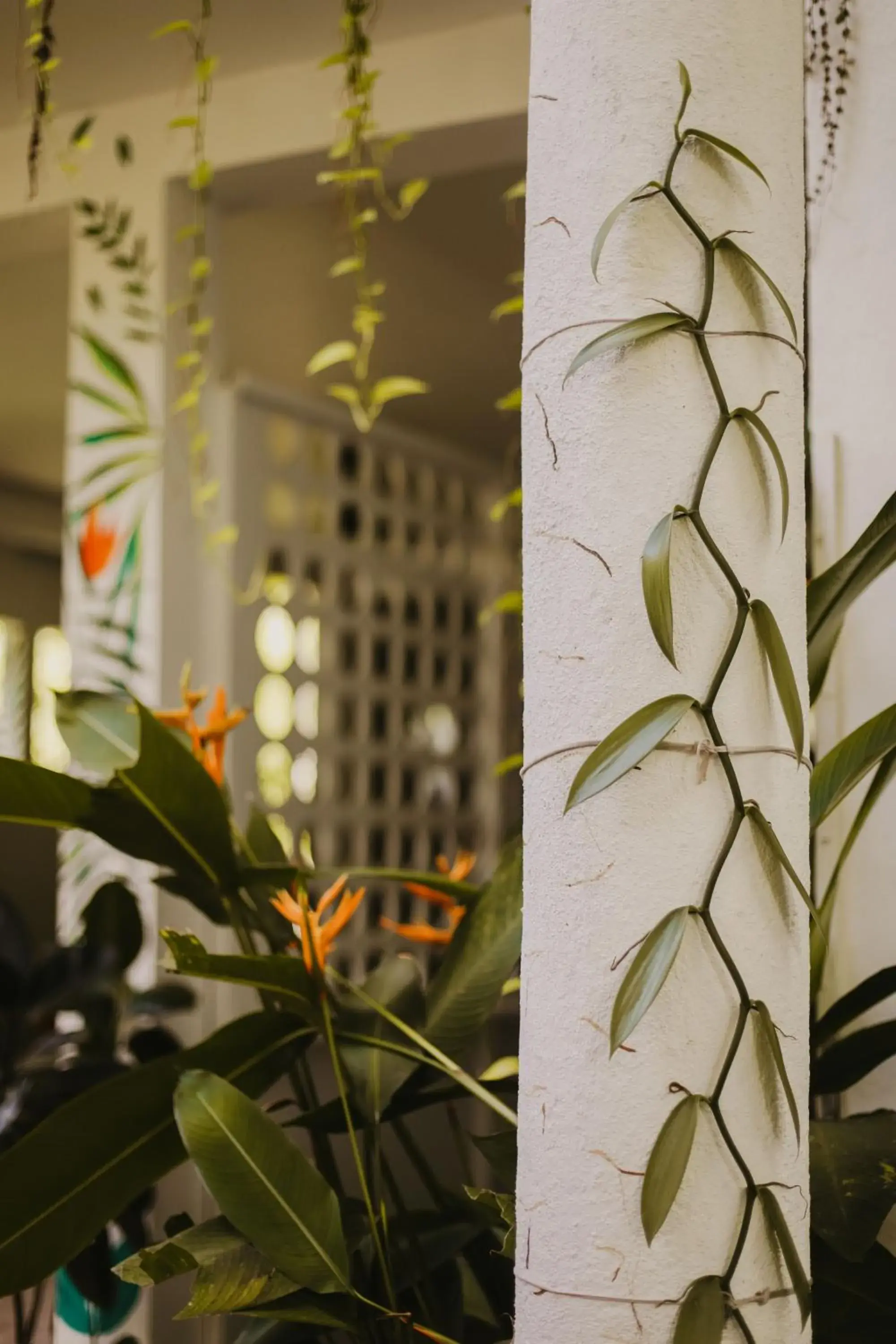 Facade/entrance in Jungle Soul Facade/entrance in Jungle Soul