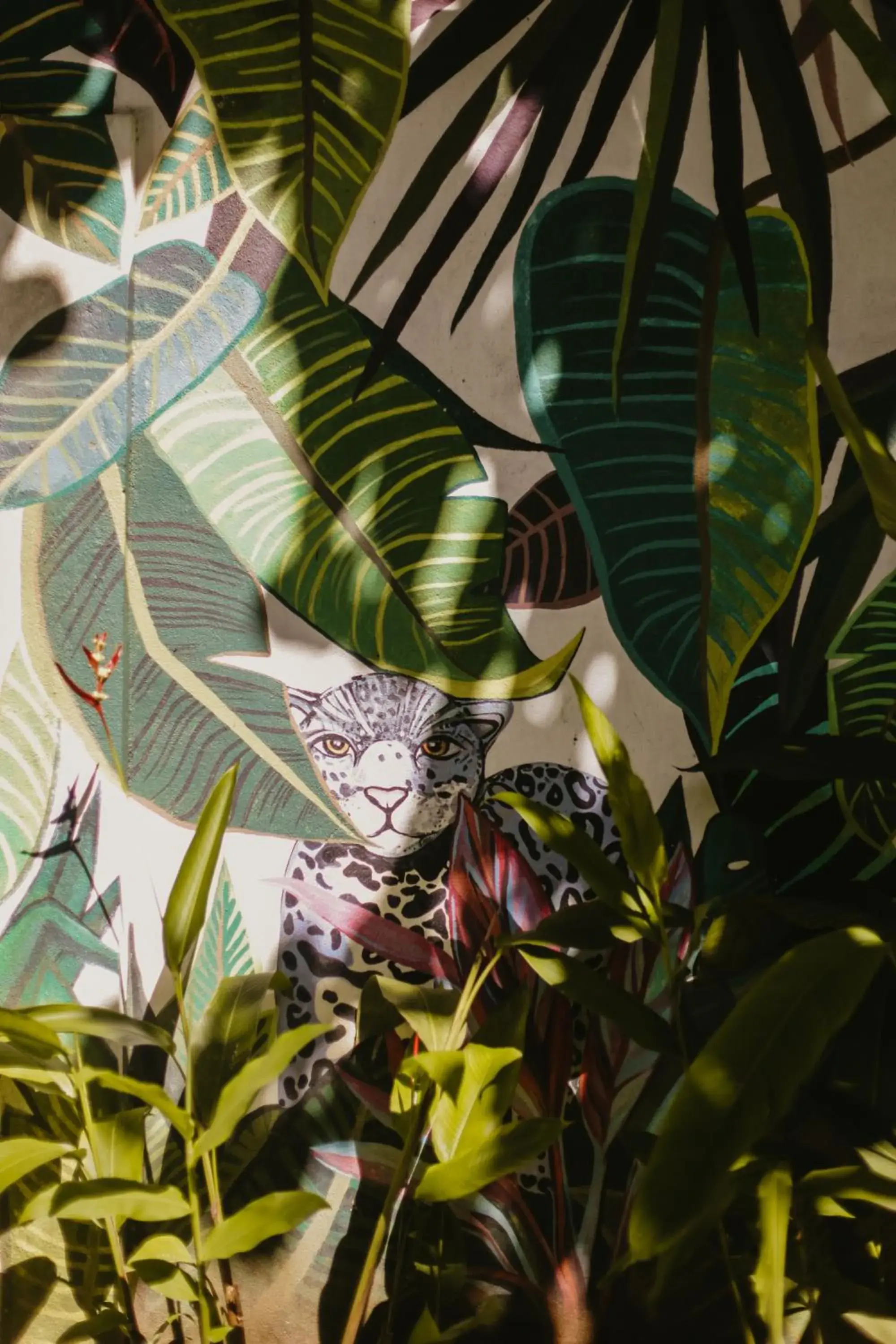 Facade/entrance in Jungle Soul Facade/entrance in Jungle Soul