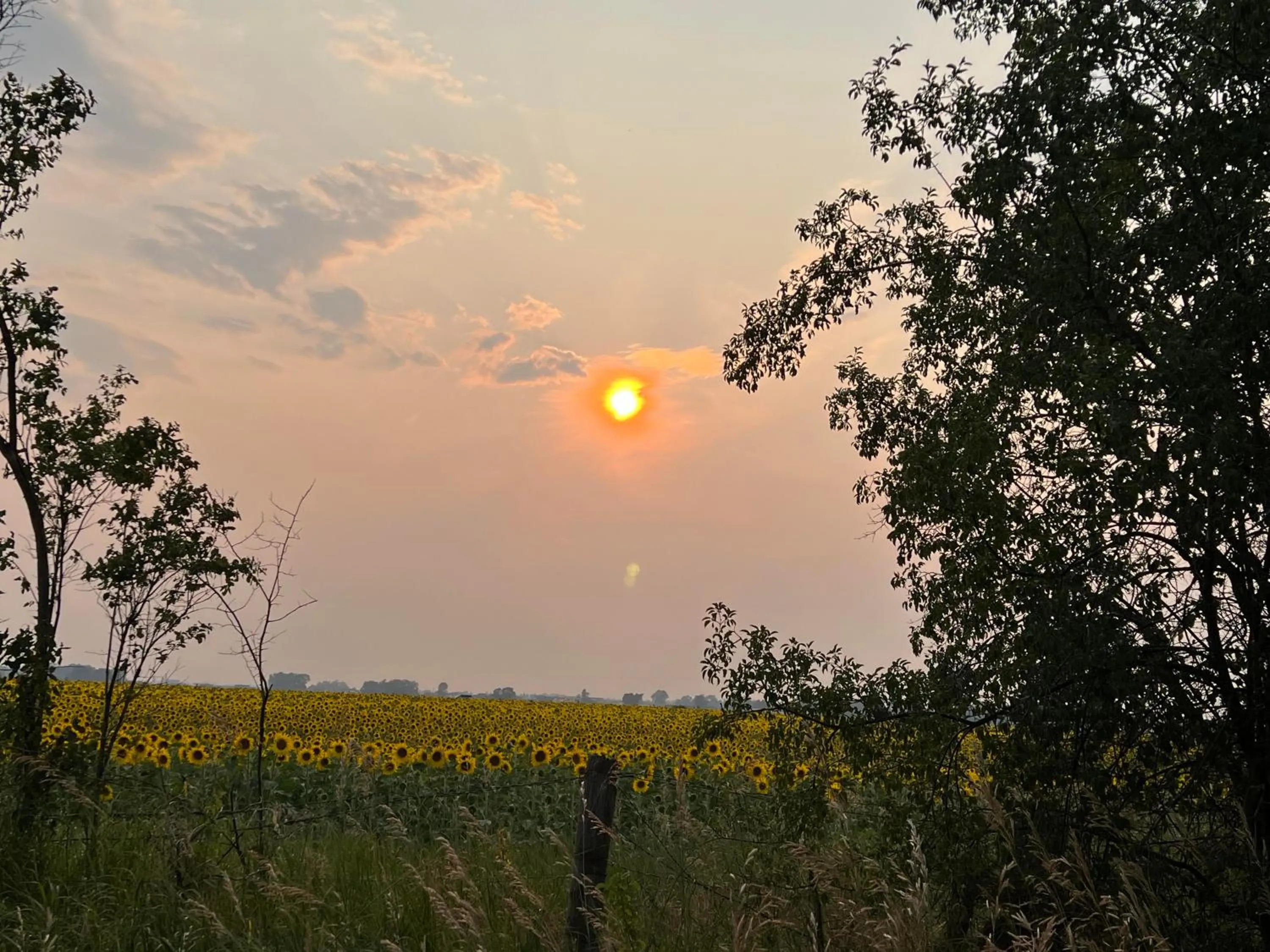View (from property/room) in Fox Hollow Inn