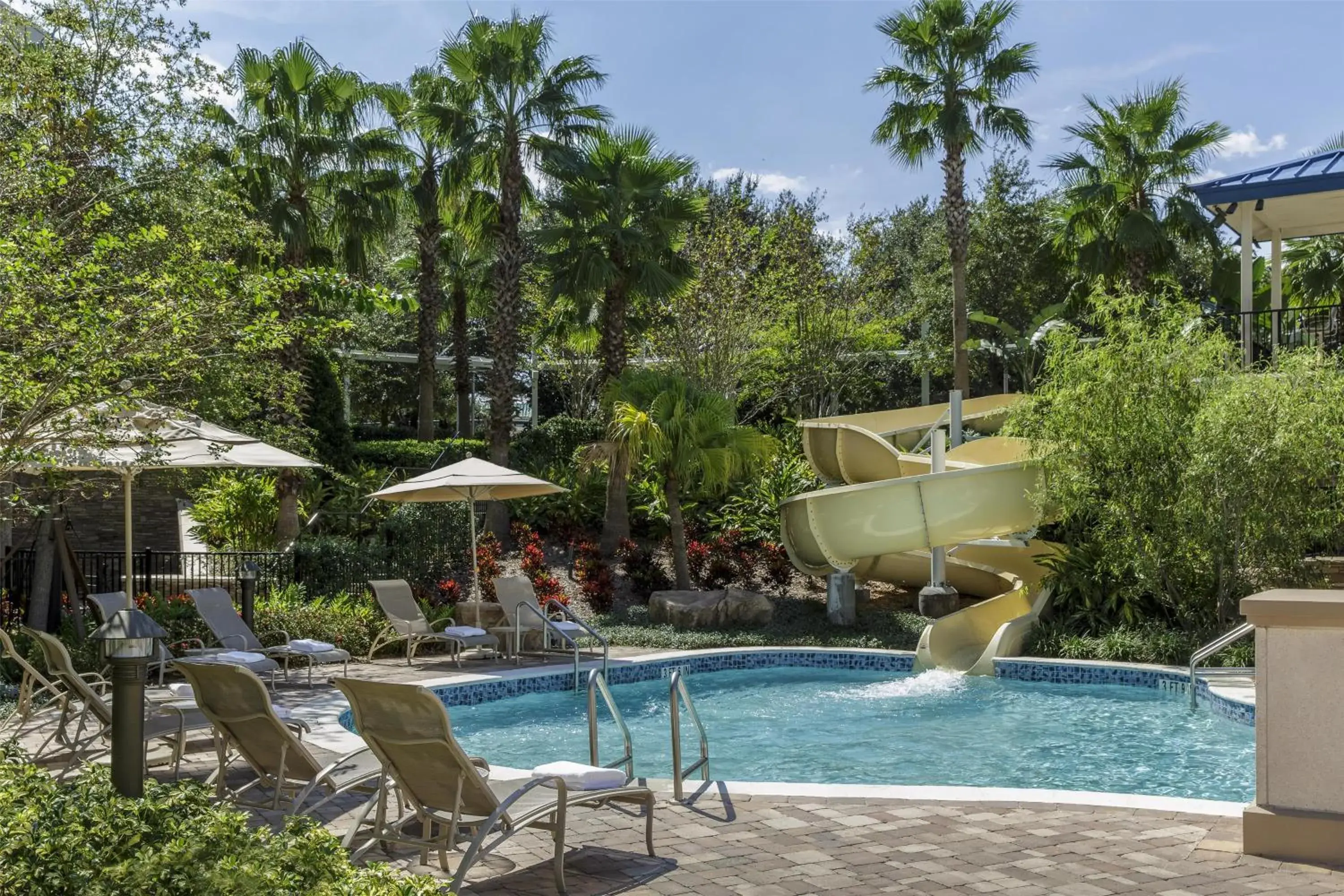 Swimming pool in Hyatt Regency Orlando Swimming pool in Hyatt Regency Orlando