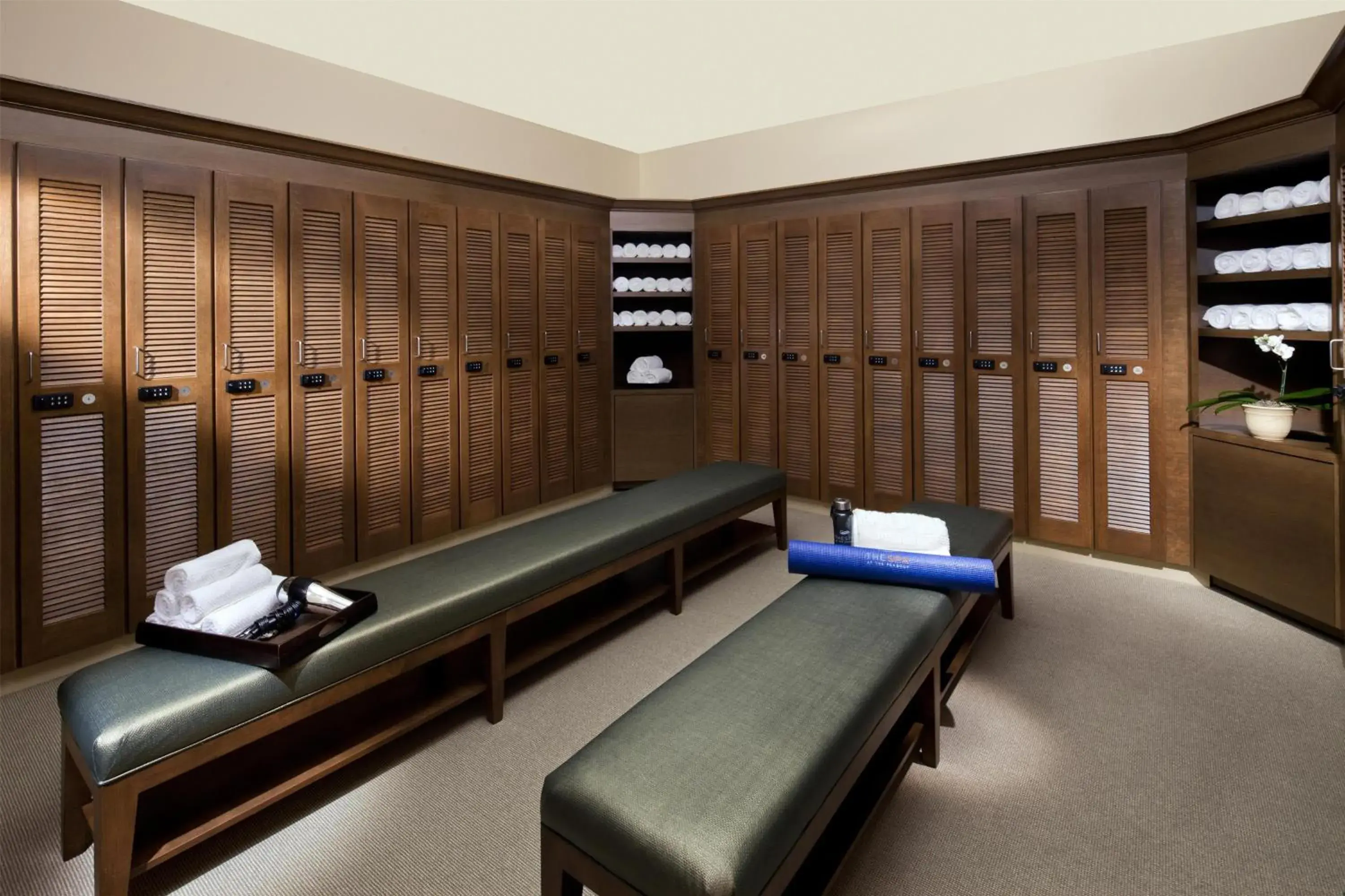 Spa and wellness centre/facilities in Hyatt Regency Orlando Spa and wellness centre/facilities in Hyatt Regency Orlando