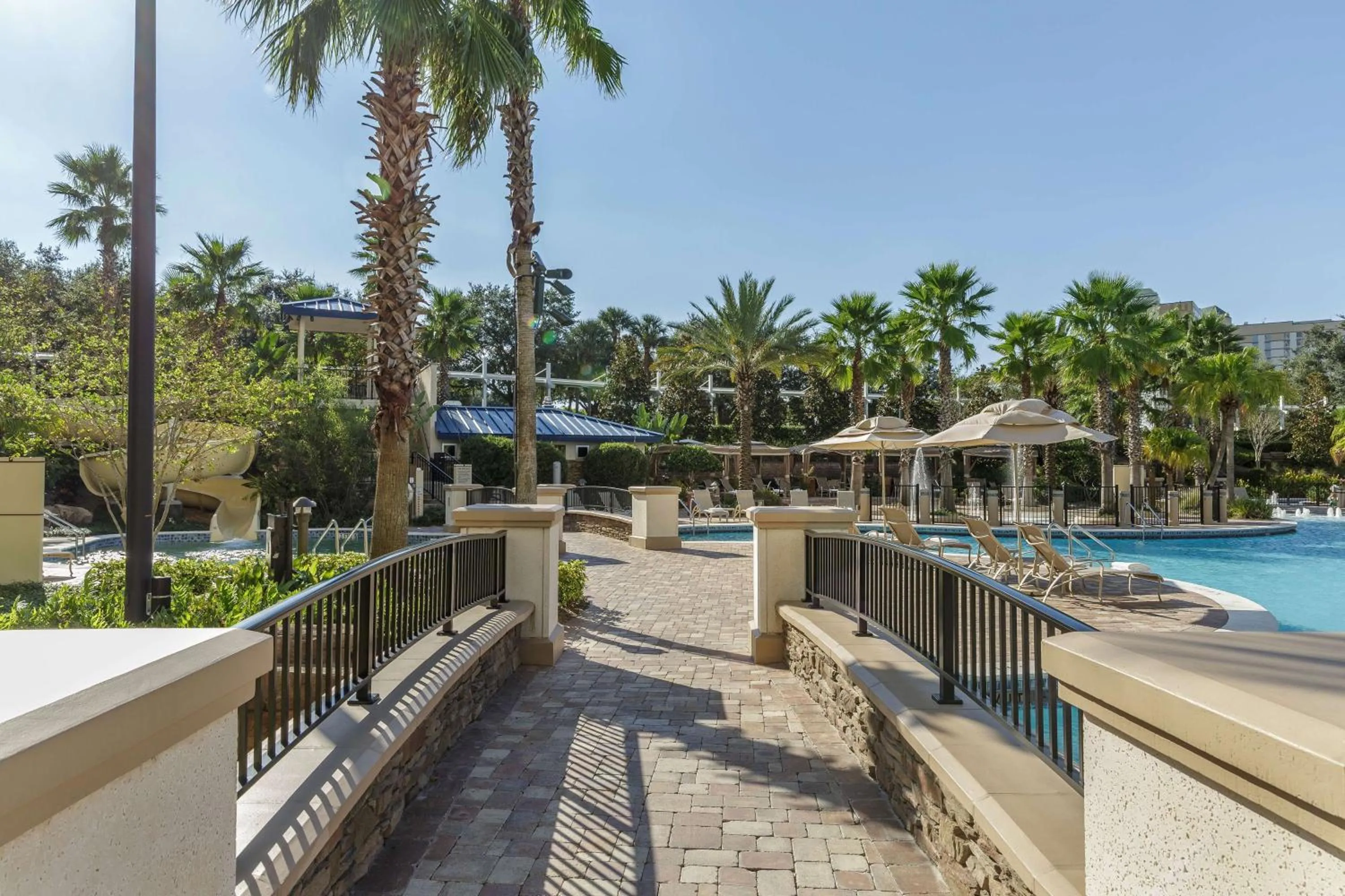 Swimming pool in Hyatt Regency Orlando