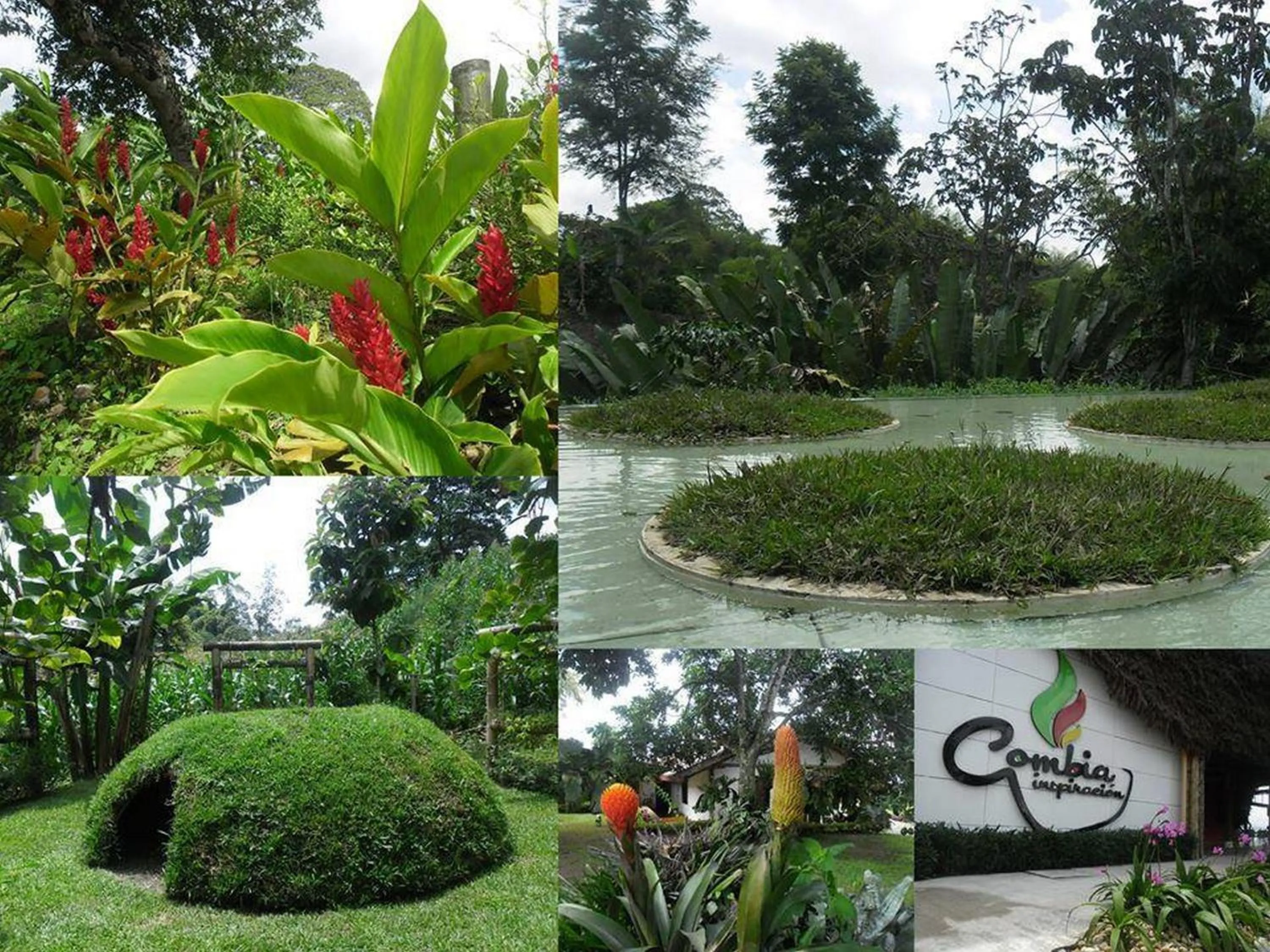 Activities in Hotel Hacienda Combia