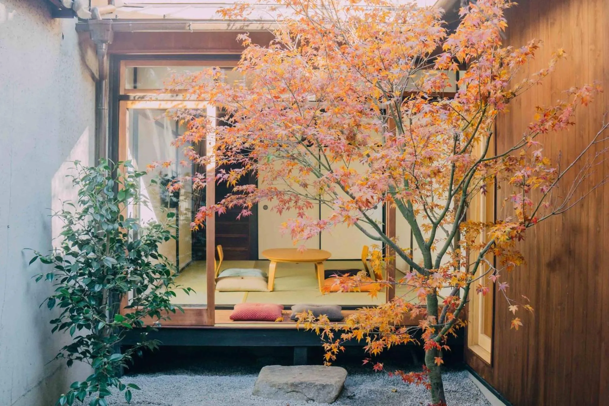 Garden view in Casa OGUMO
