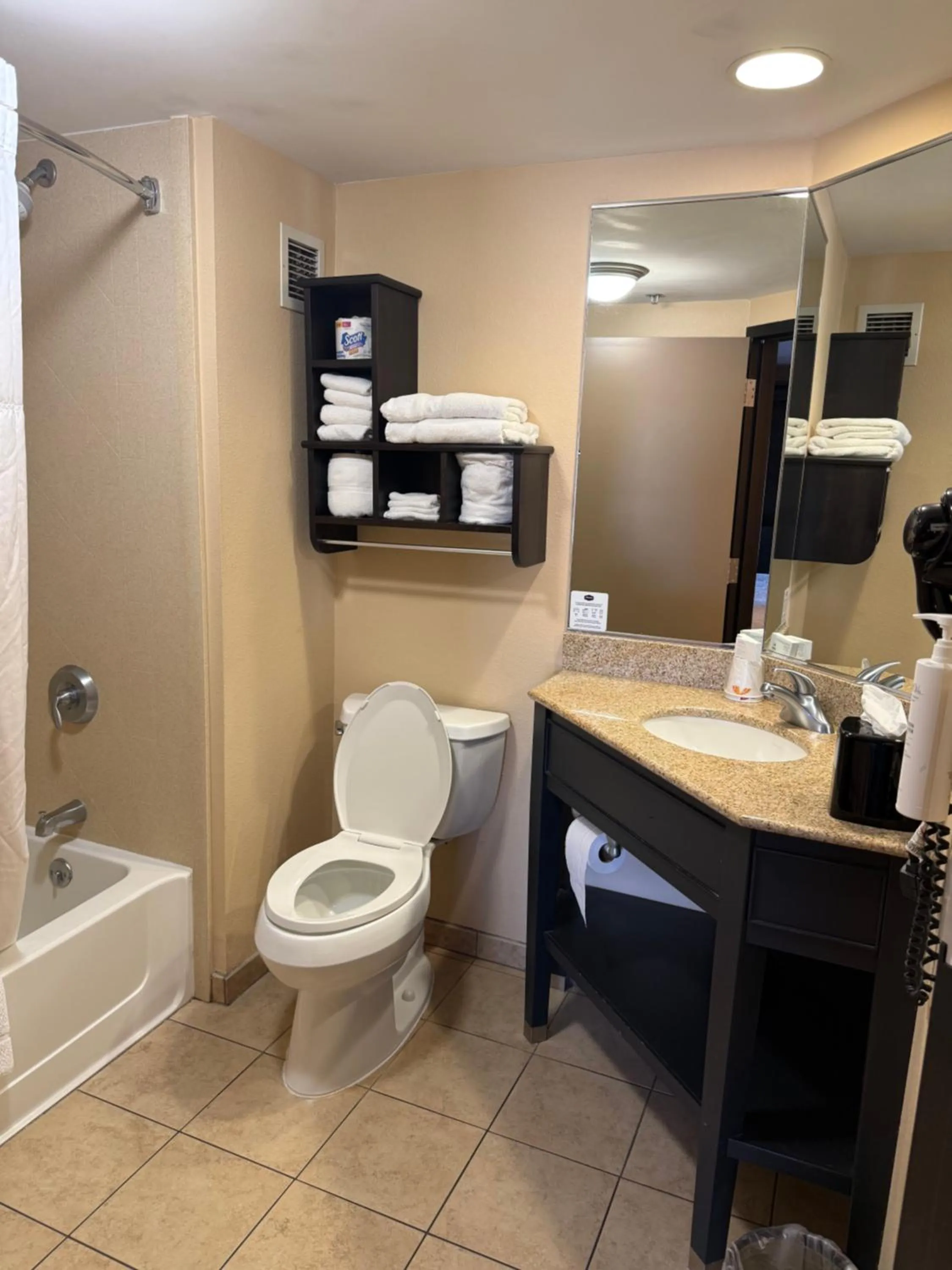 Bathroom in Hampton Inn Harrisburg/Grantville/Hershey