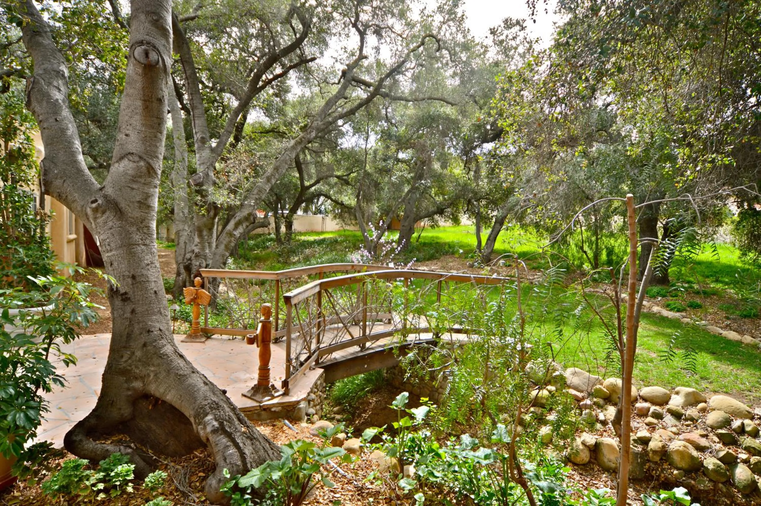 Garden in Blue Iguana Inn