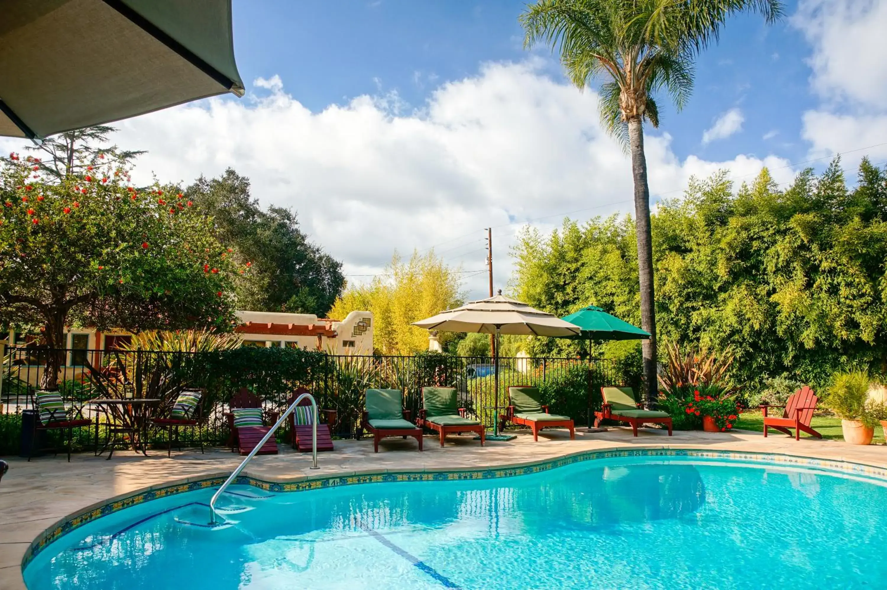 Swimming pool in Blue Iguana Inn Swimming pool in Blue Iguana Inn