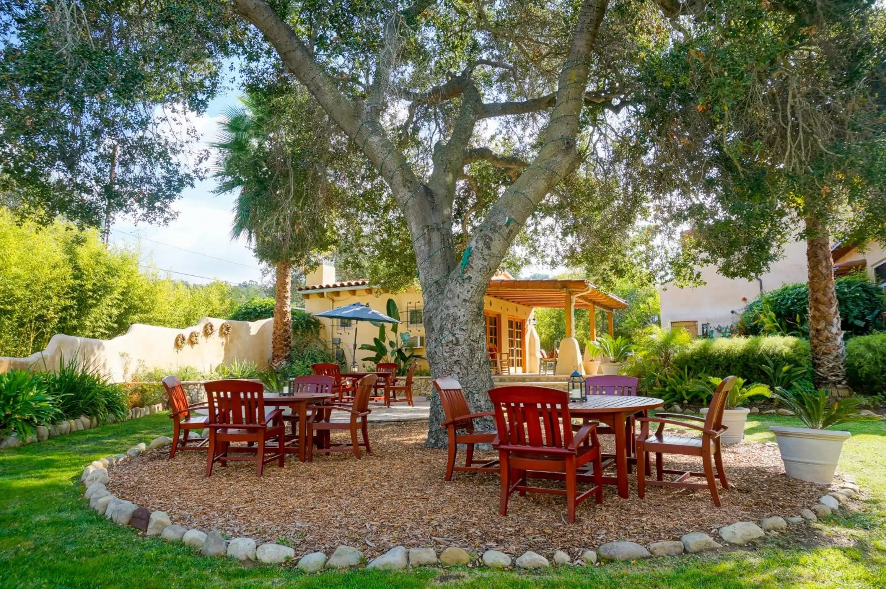 Restaurant/places to eat in Blue Iguana Inn Restaurant/places to eat in Blue Iguana Inn