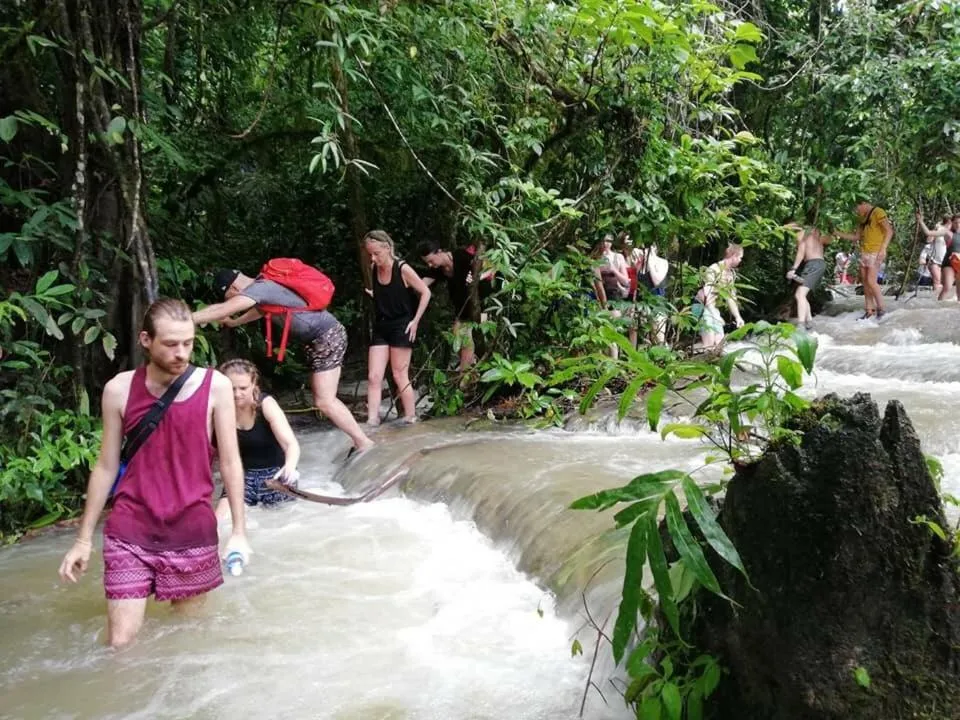 Khaosok Secret Hostel