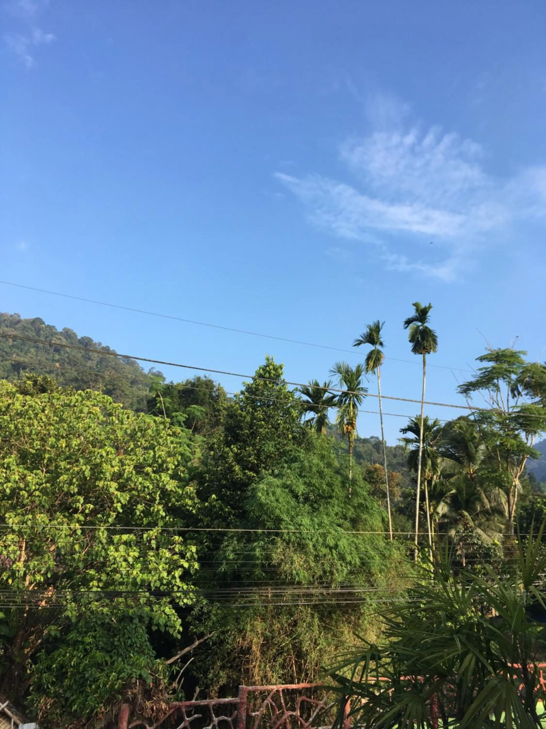 Khaosok Secret Hostel