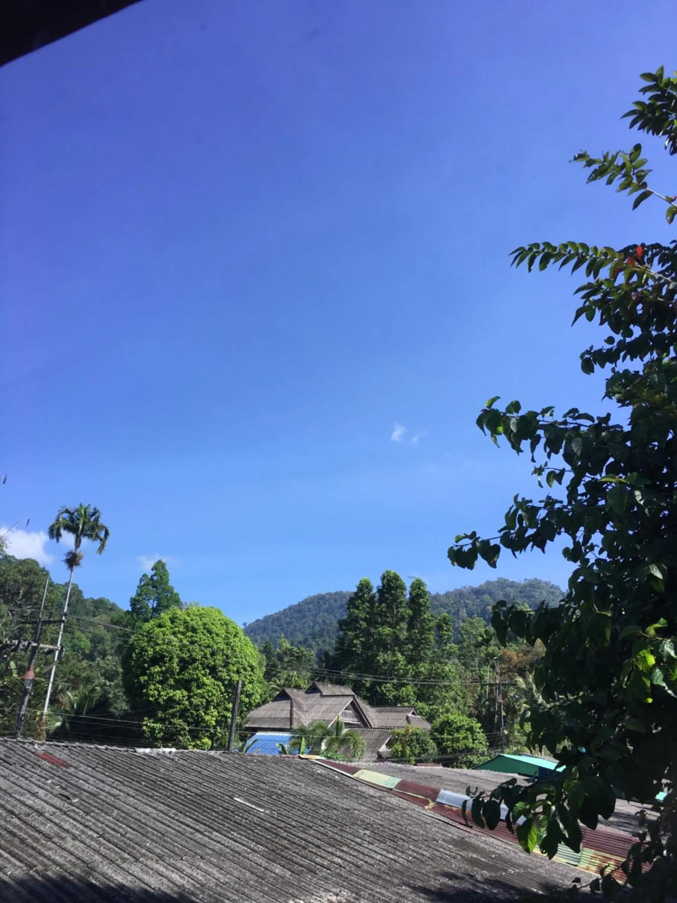 Khaosok Secret Hostel