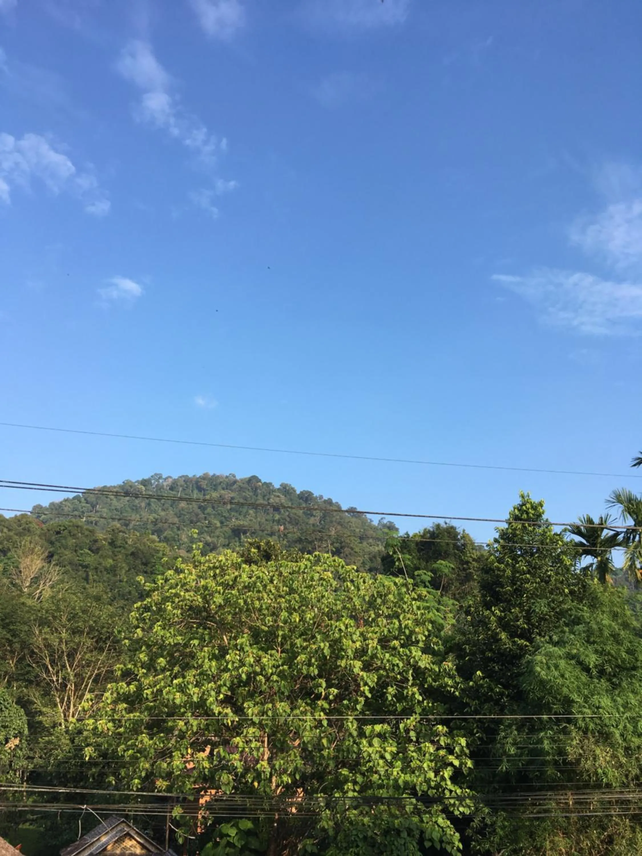 Khaosok Secret Hostel