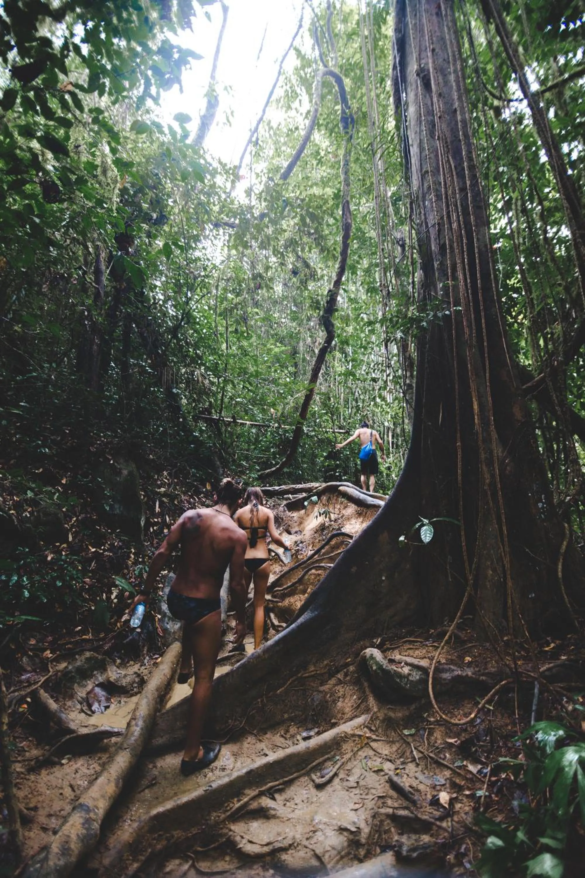 Hiking in Khaosok Secret Hostel