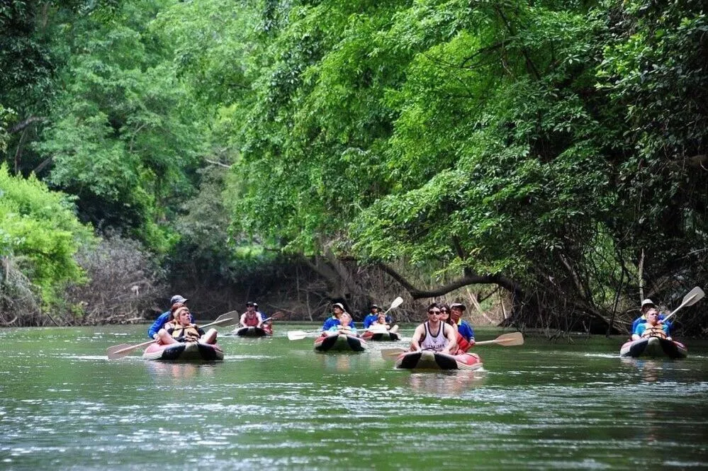 Khaosok Secret Hostel