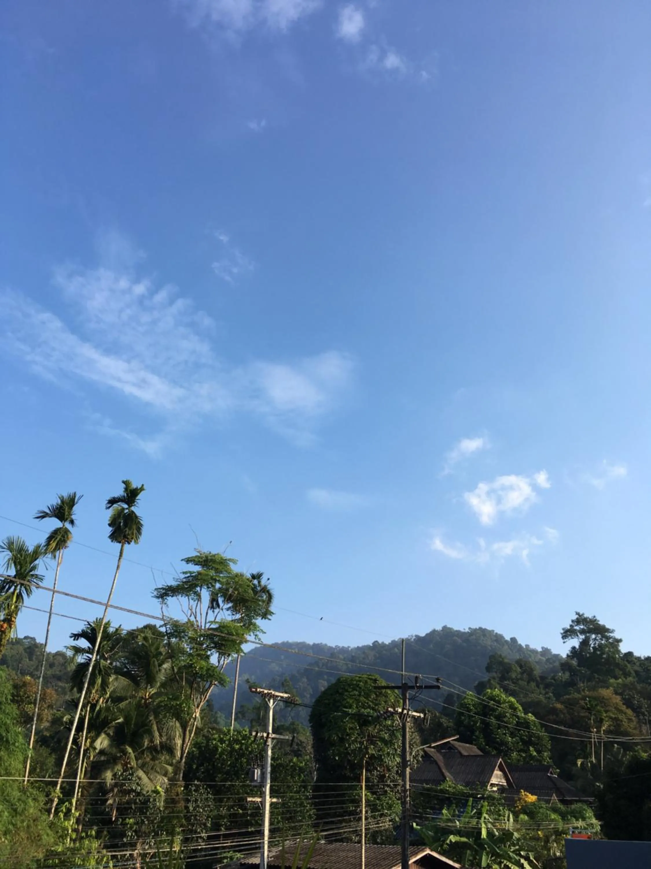 Khaosok Secret Hostel