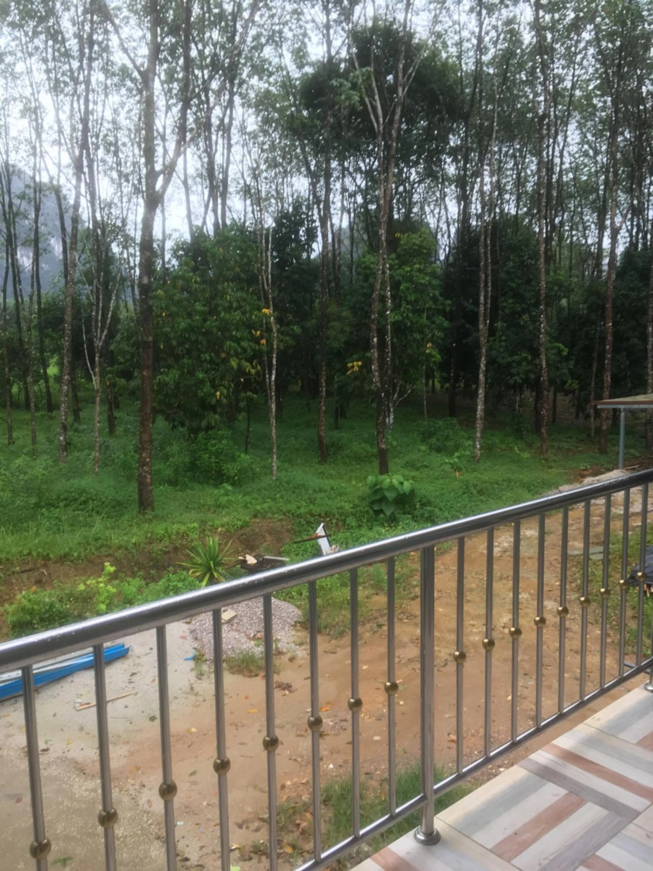 Khaosok Secret Hostel