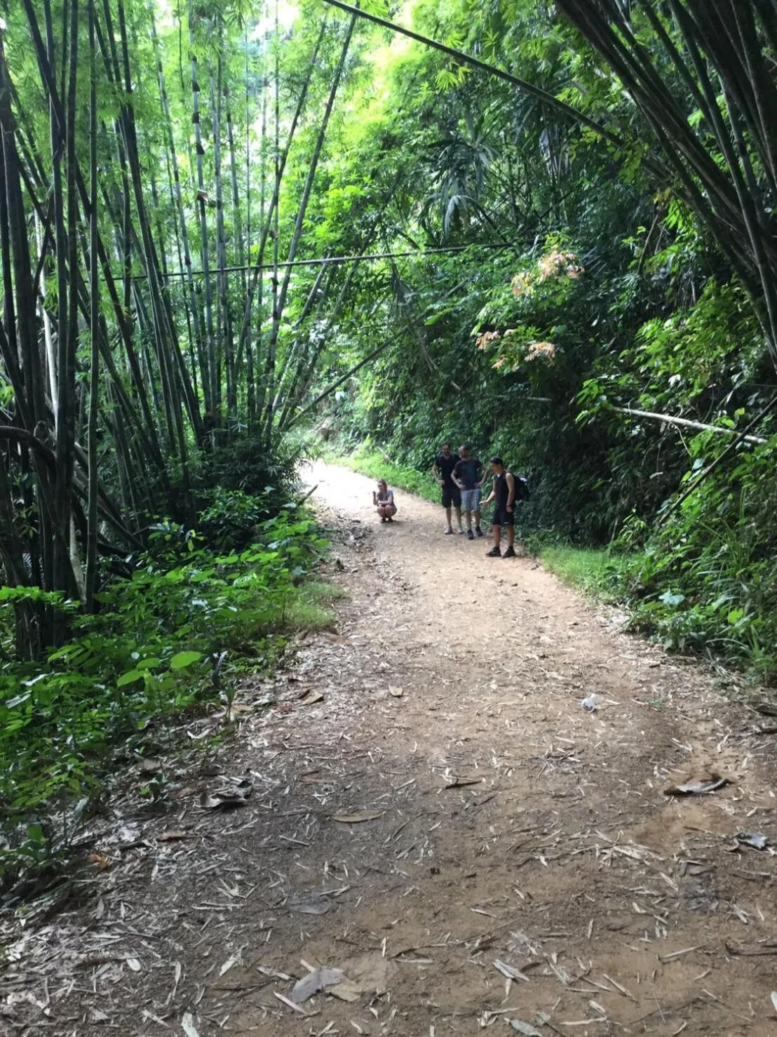Khaosok Secret Hostel