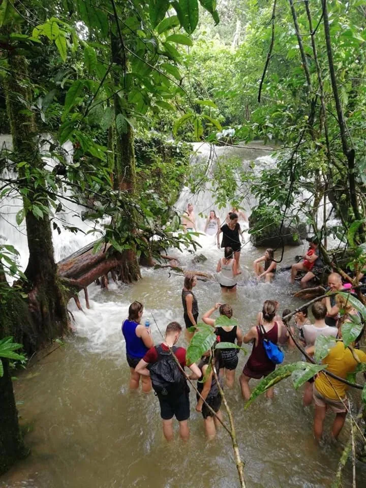 Khaosok Secret Hostel