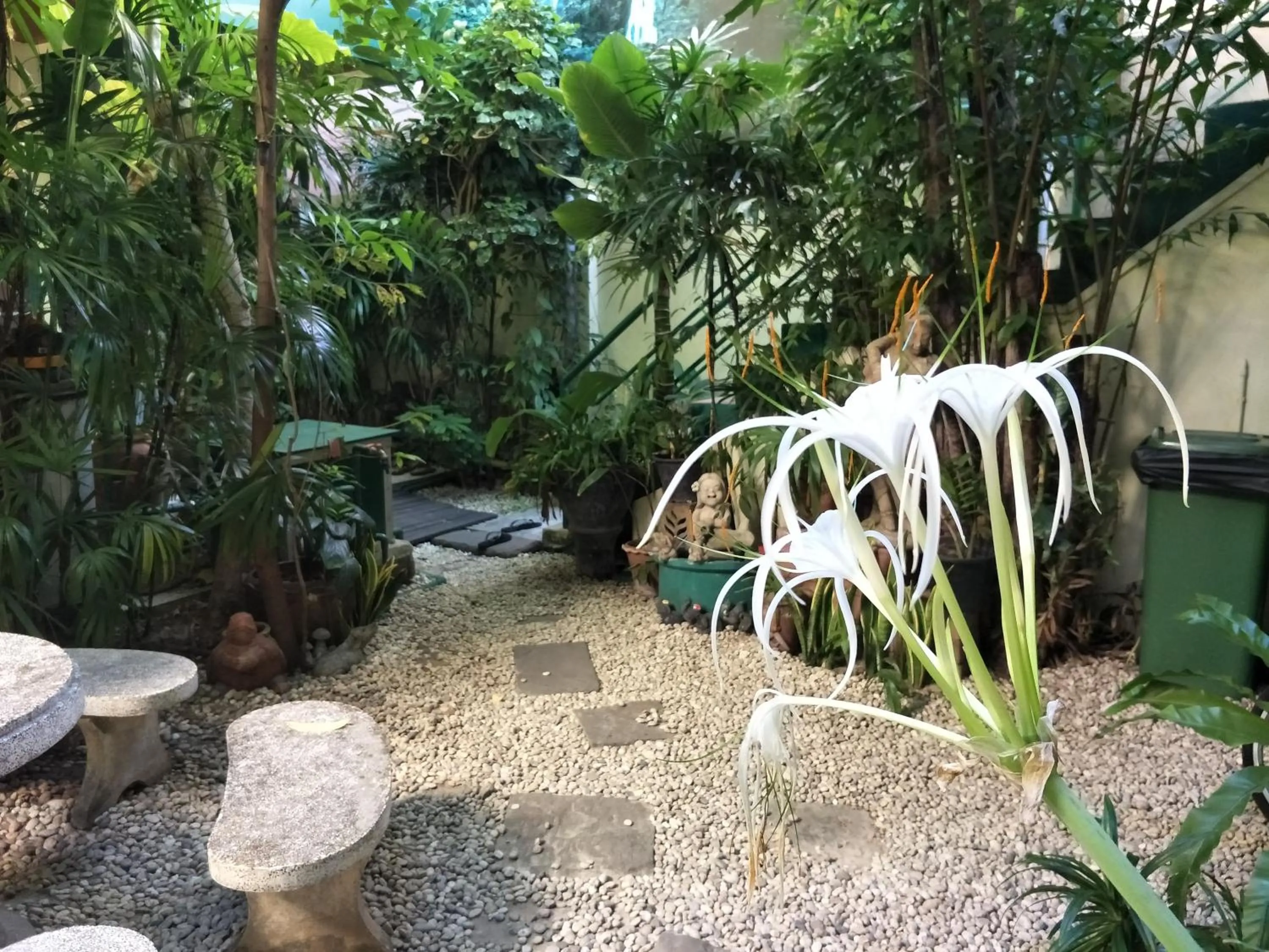 Phuket Green Home