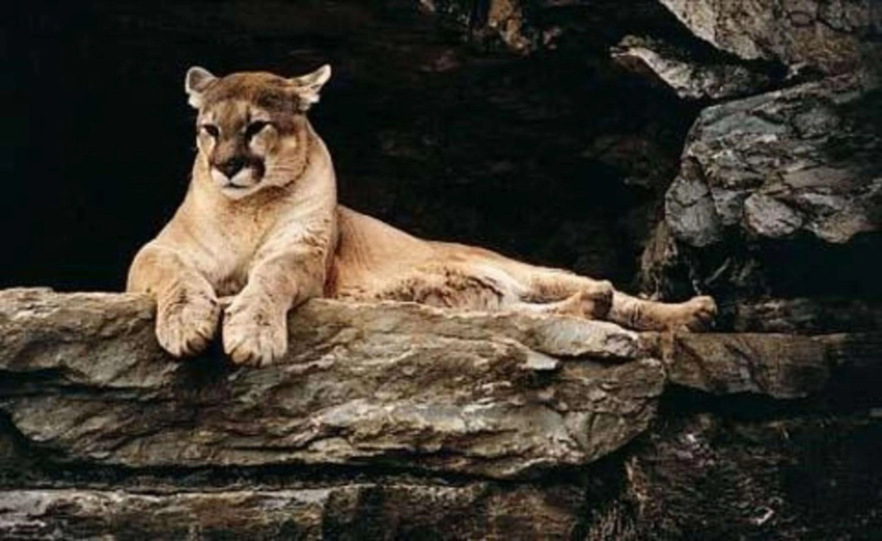 Other in Comfort Inn Hummelstown near the Park - Hershey