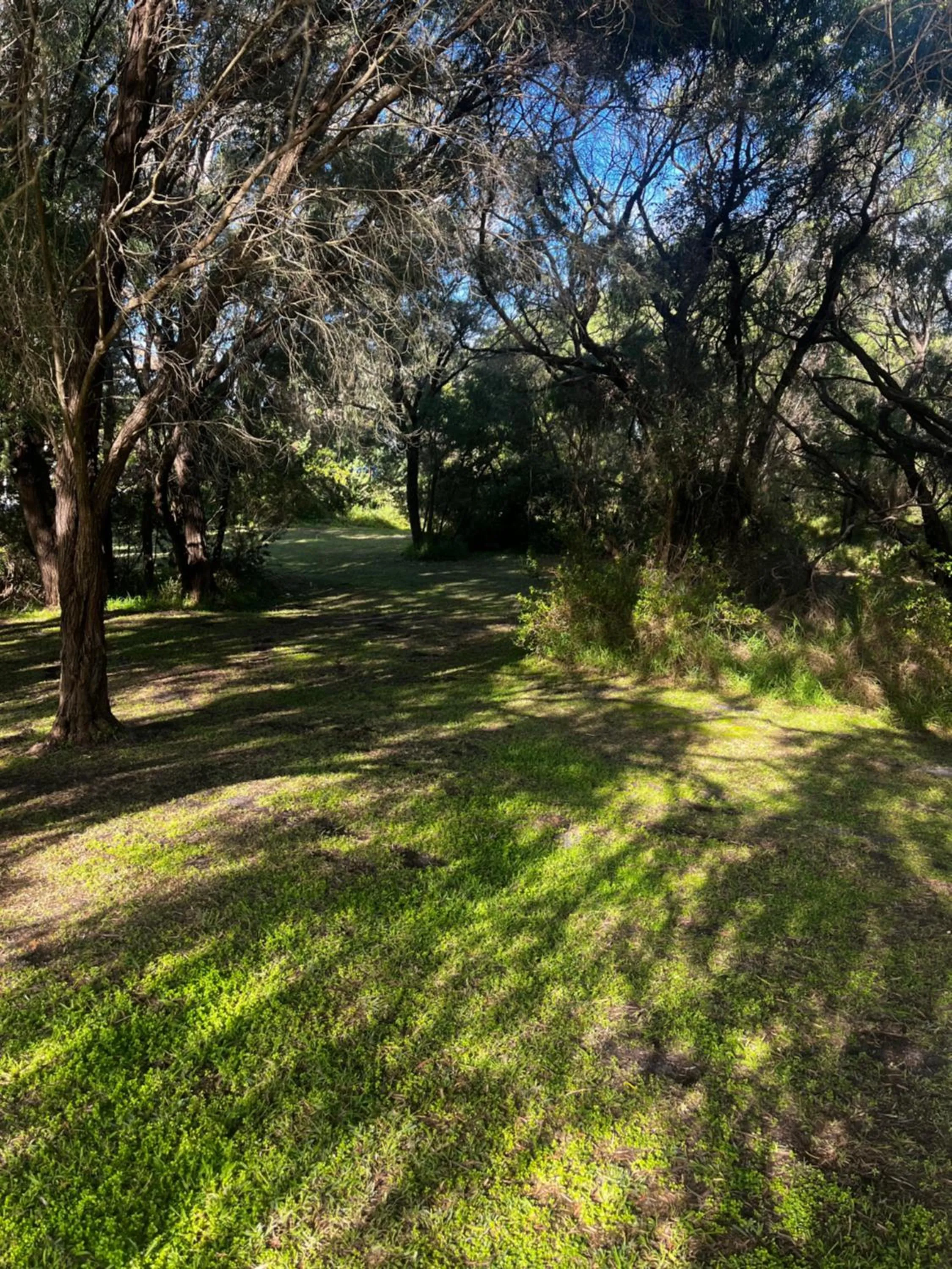 Garden in Emu Point Motel