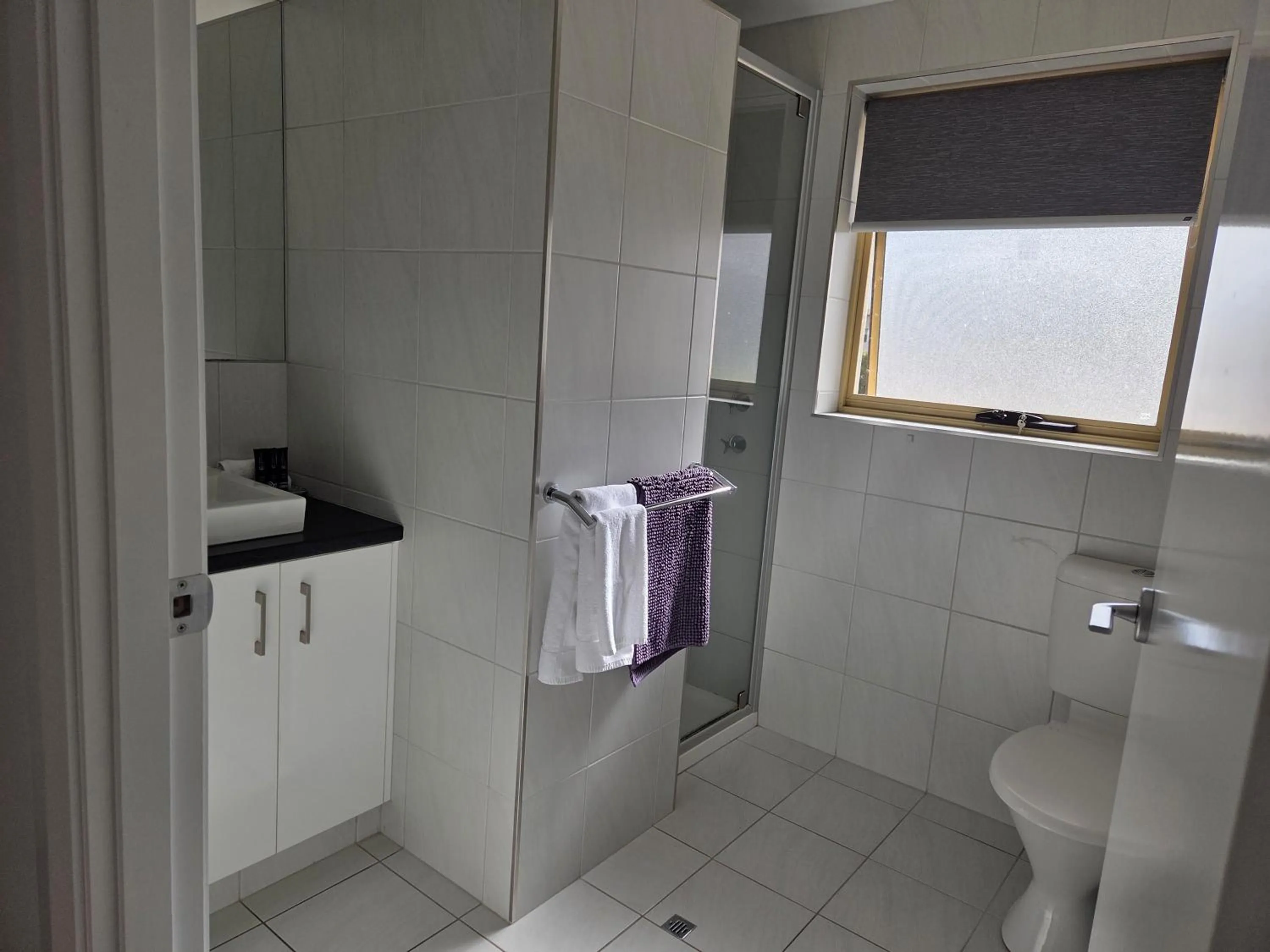 Pelicans Albany Middleton Beach