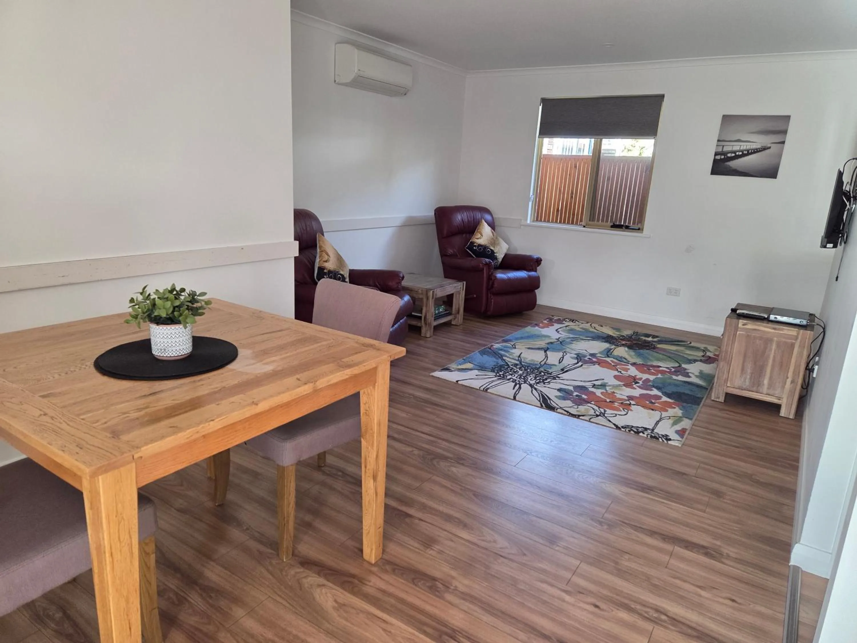 Pelicans Albany Middleton Beach