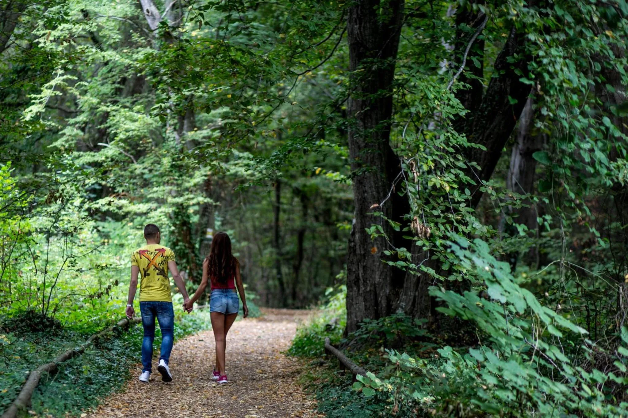 Natural landscape in Hotel Lilia
