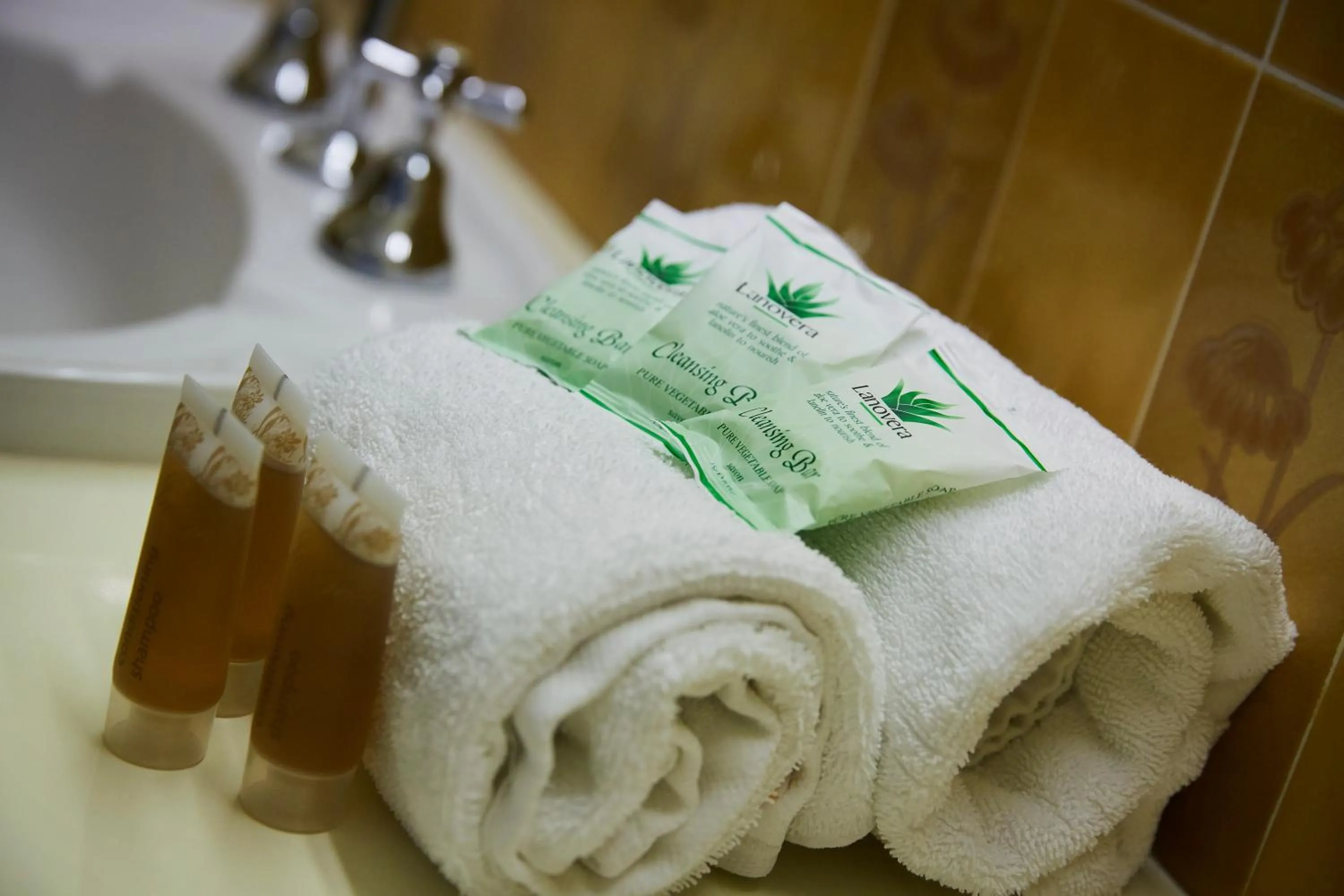 Shower in Windsor Lodge