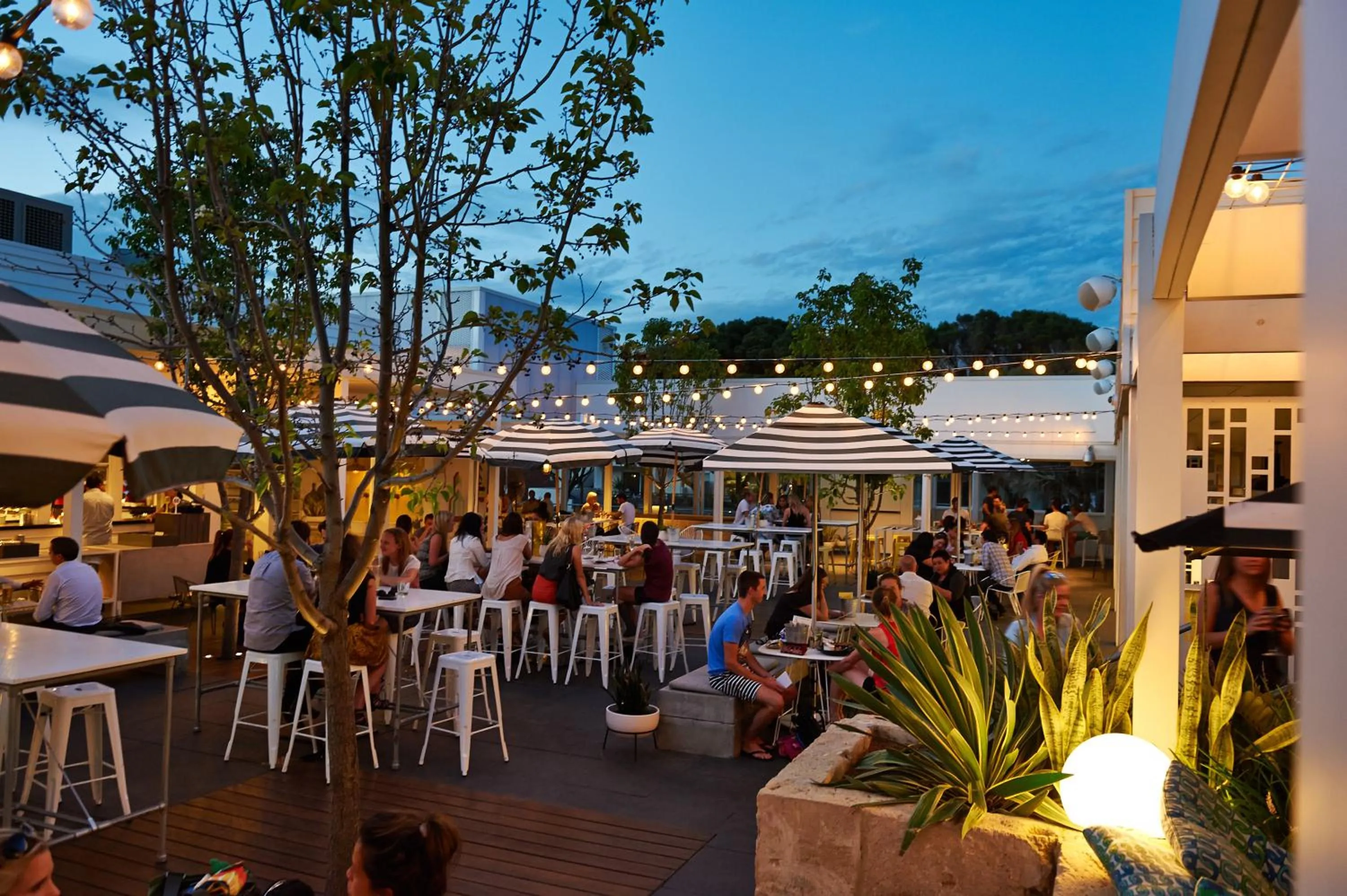 Restaurant/places to eat in Cottesloe Beach Hotel