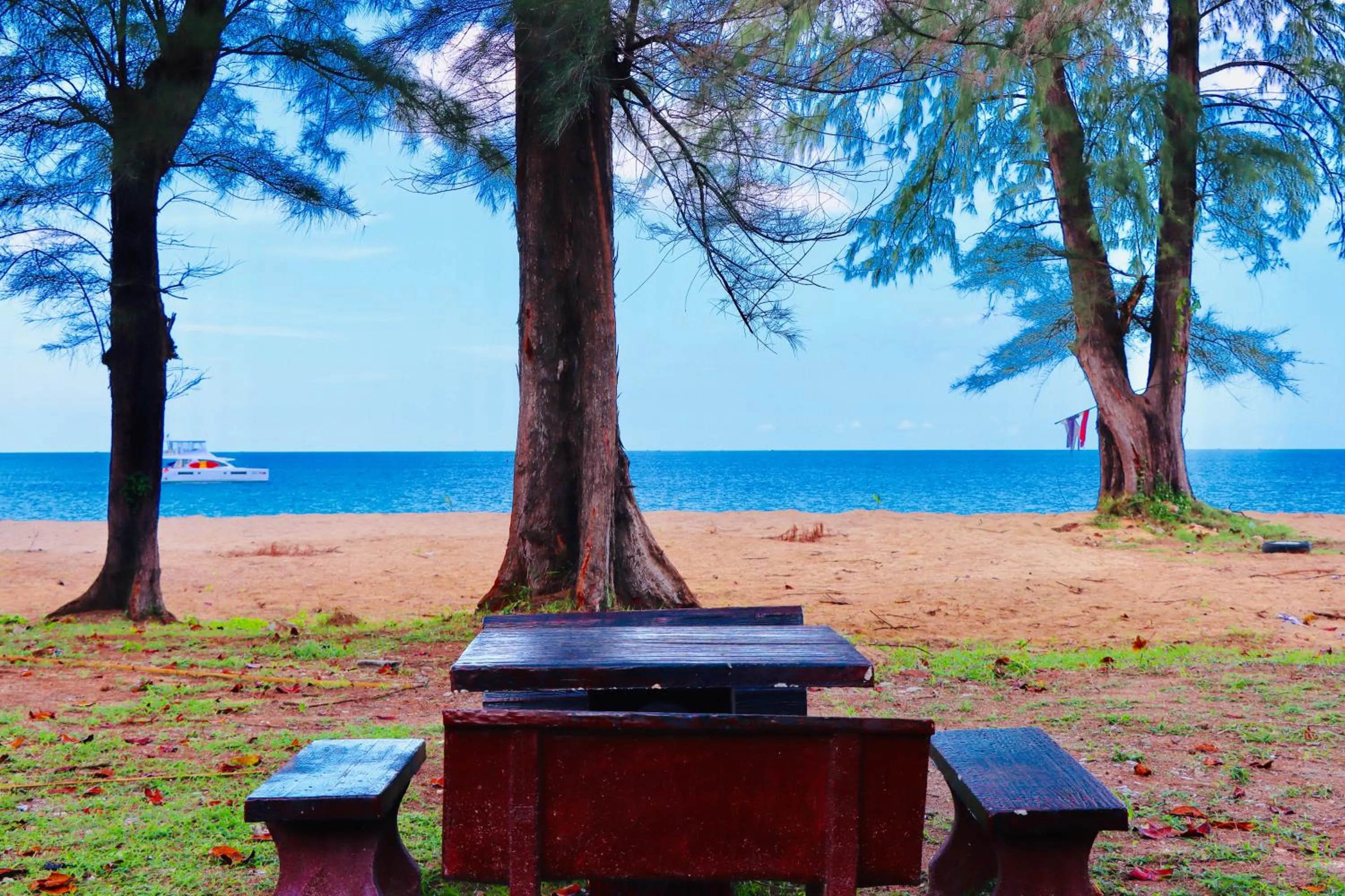 Natural landscape in Lanta Palm Beach Resort , Beach Bungalow - Koh Lanta