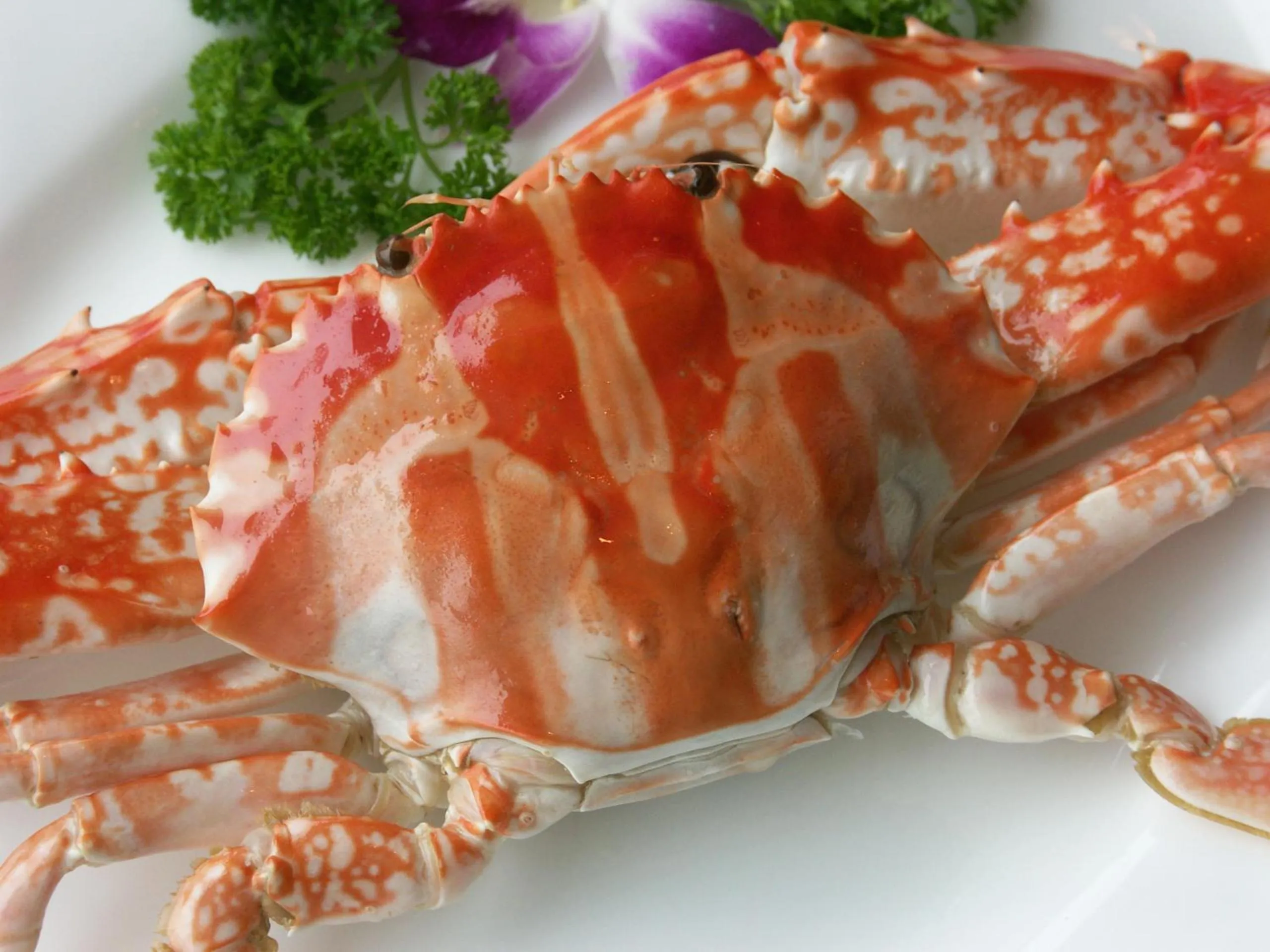 Food in Jinling Plaza Changzhou