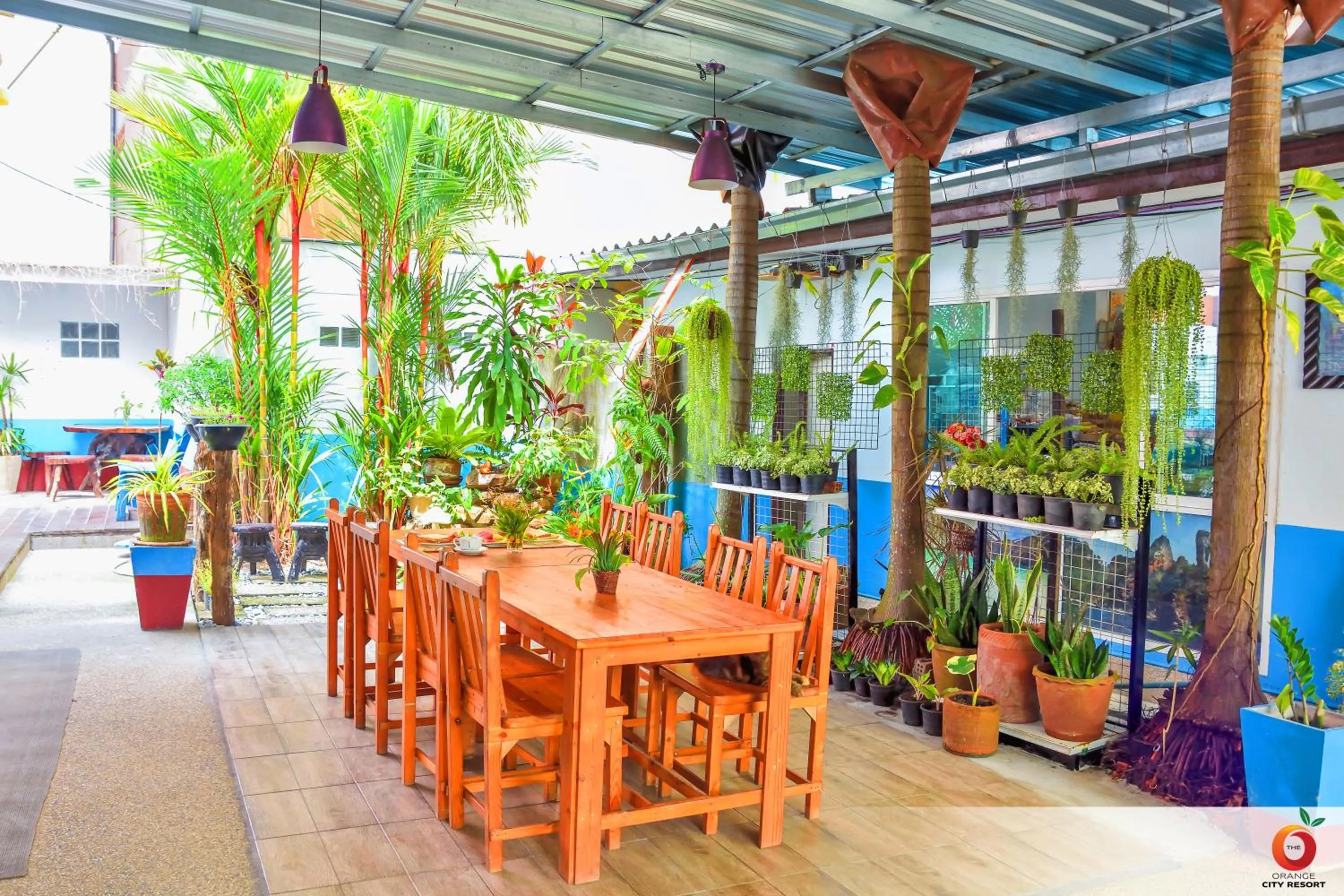 Restaurant/places to eat in The Orange City Resort