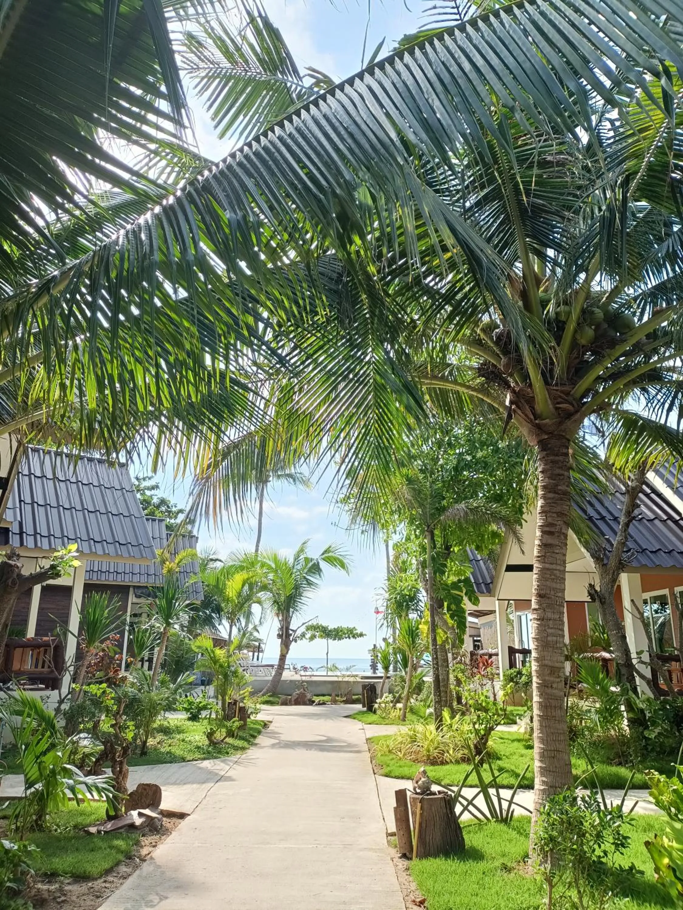 Sea Shell Beach Resort