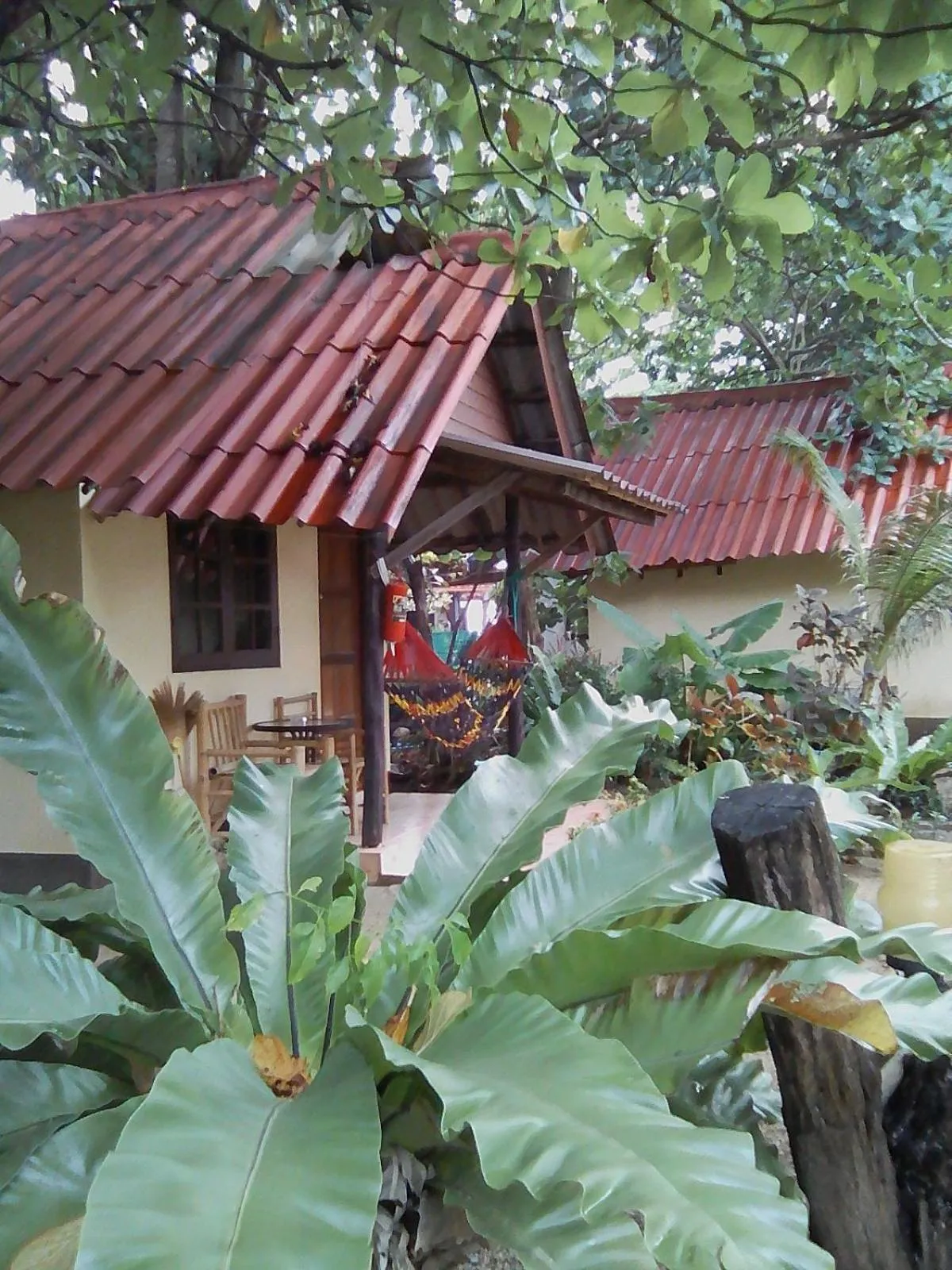 Sea Shell Beach Resort