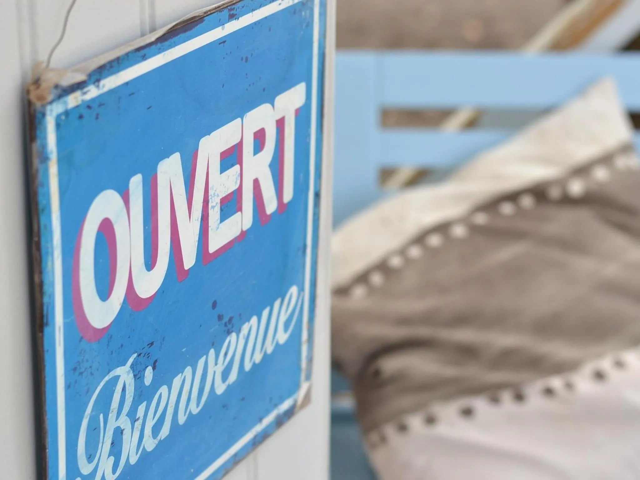 Garden in Villa Glen-Tara