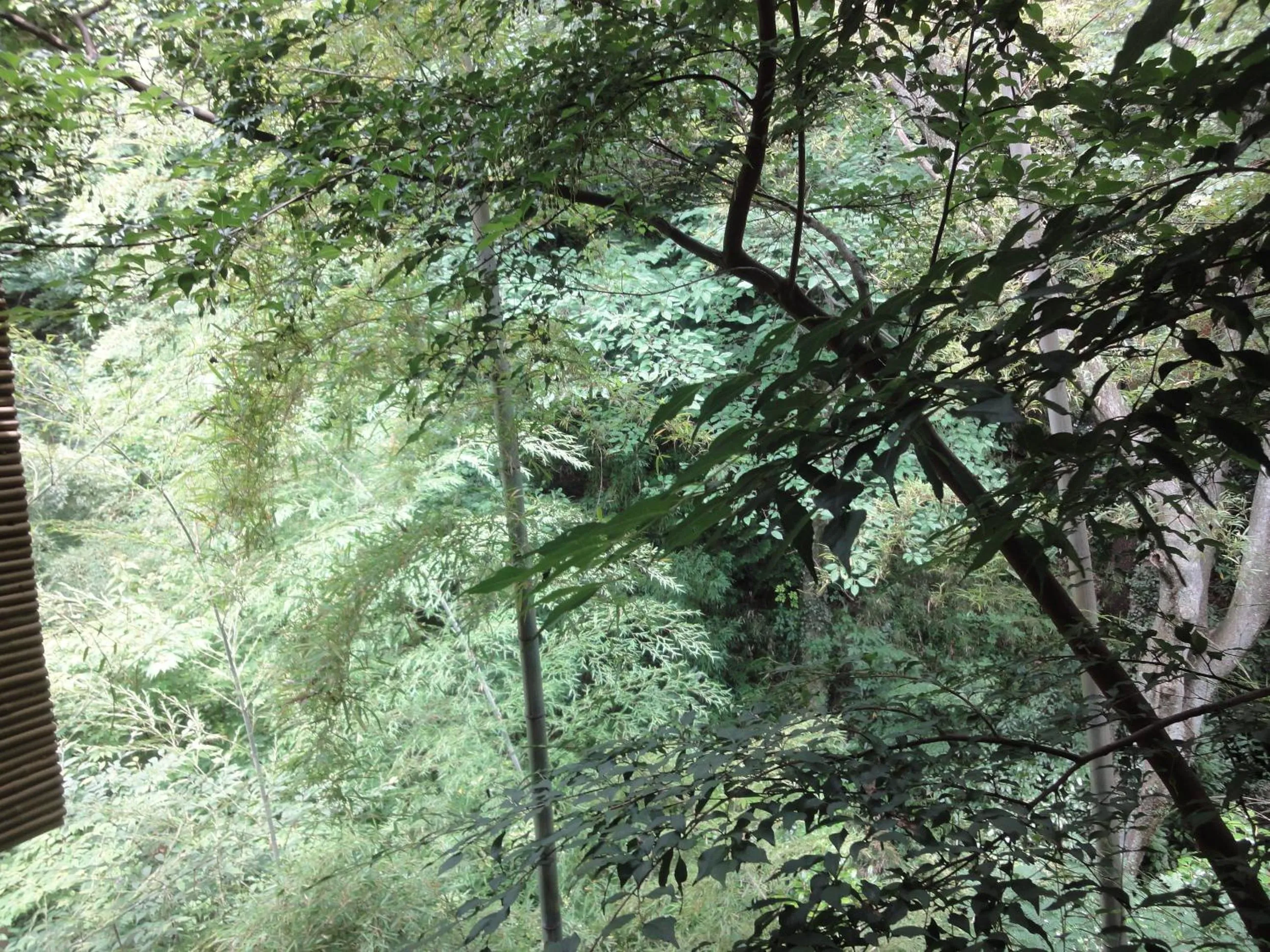 Other in Ryokan Kiritani Hakoneso