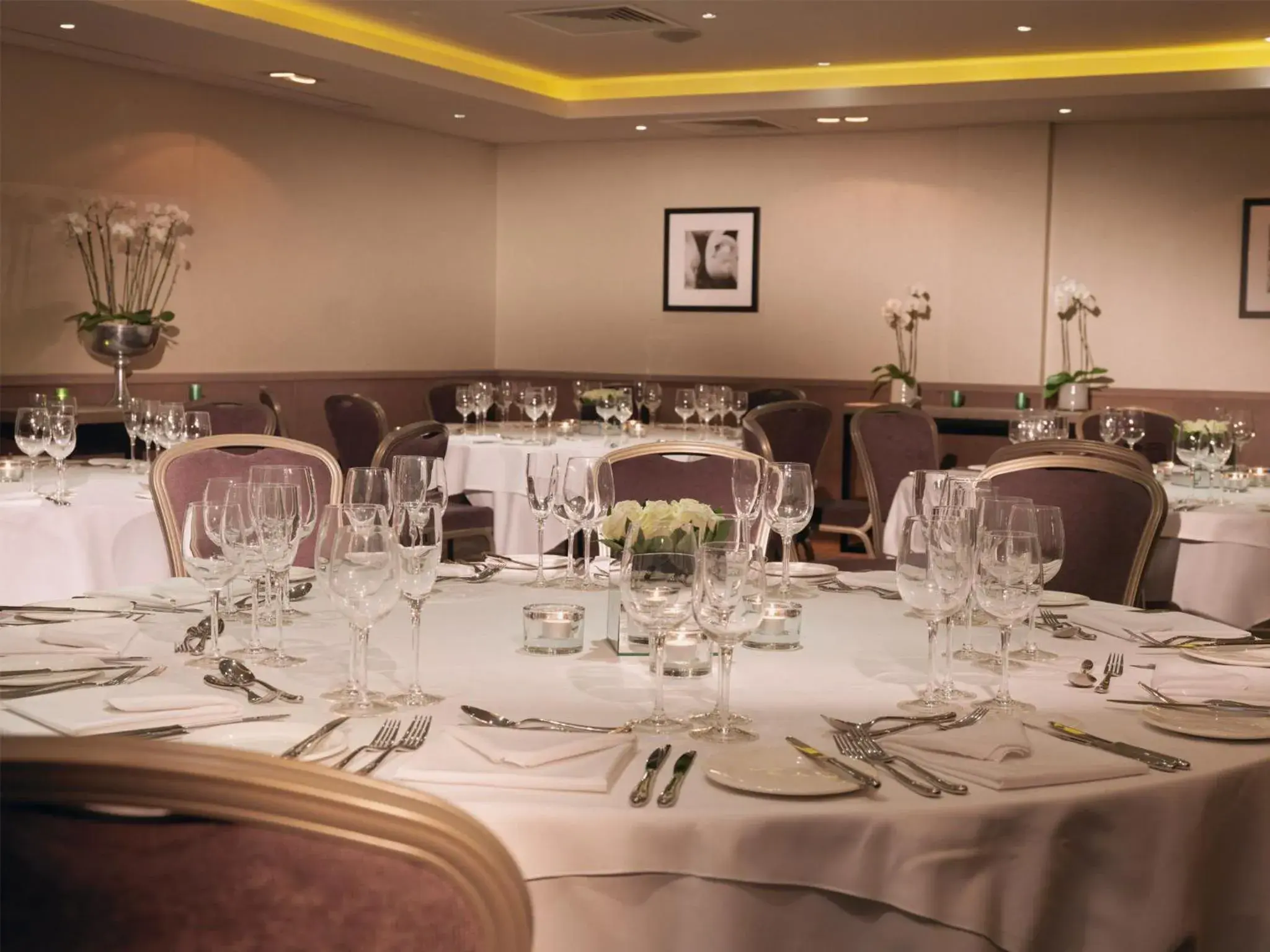 Restaurant/places to eat in Macdonald Windsor Restaurant/places to eat in Macdonald Windsor