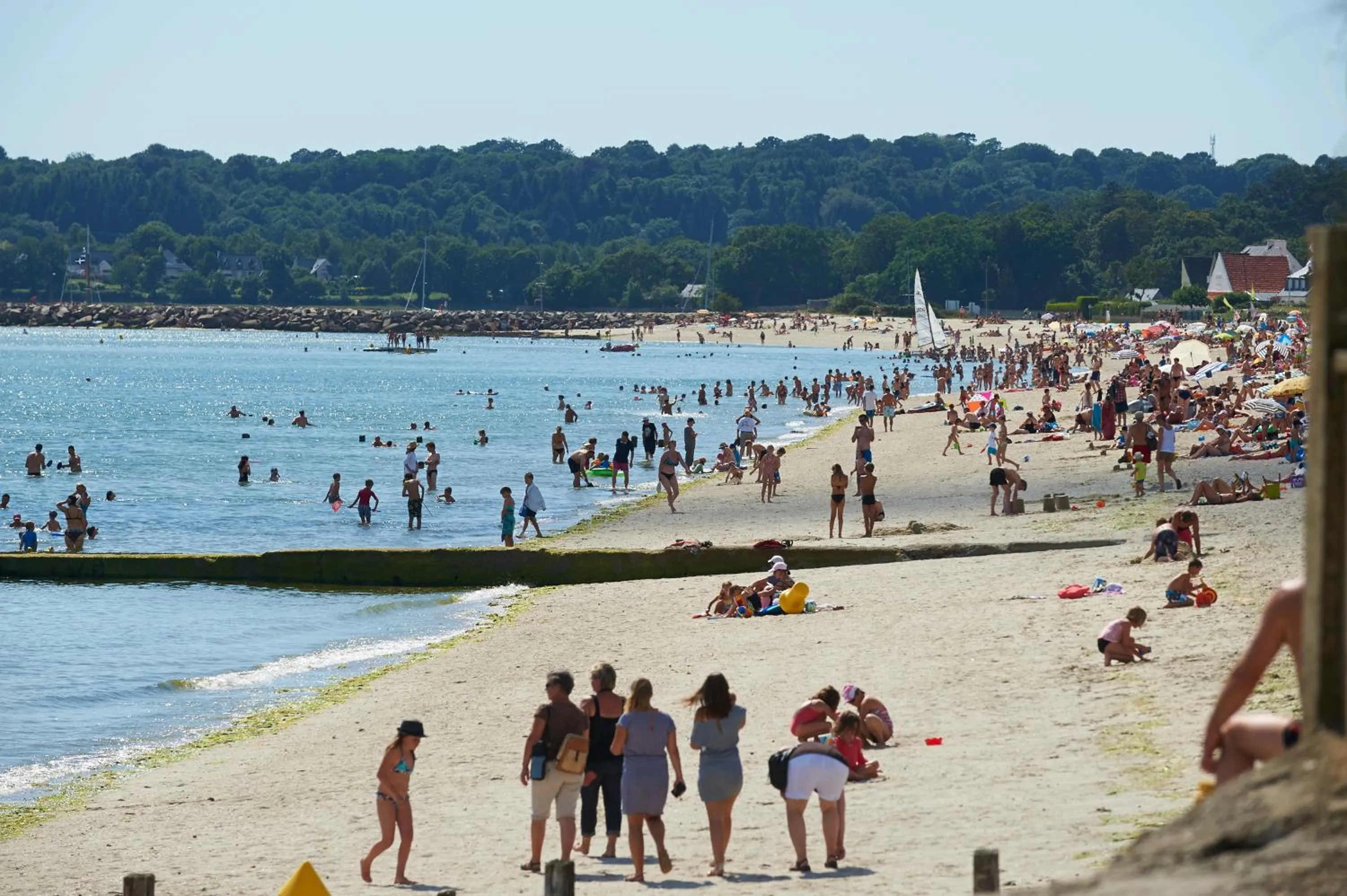 Chambre d'Hôtes de Suzette