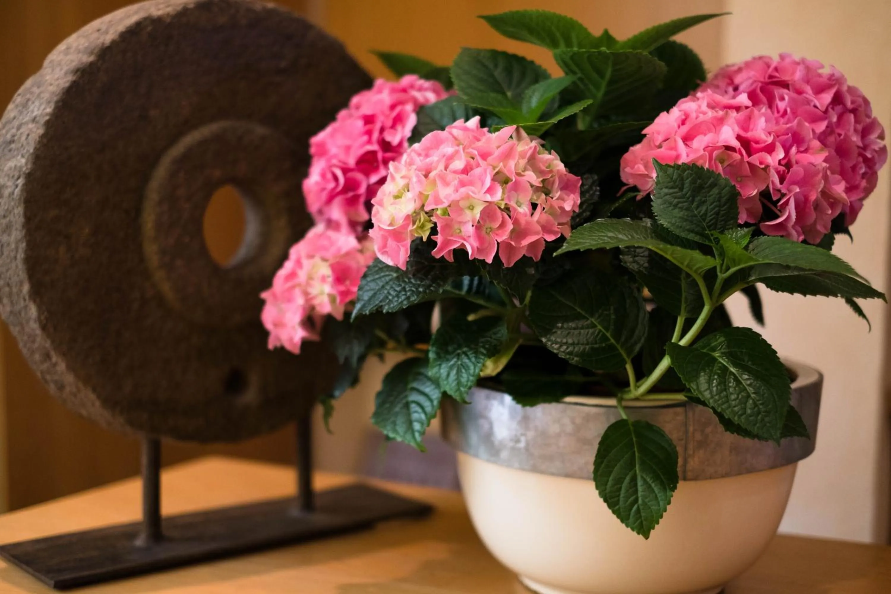 Area and facilities in Hotel zur Mühle