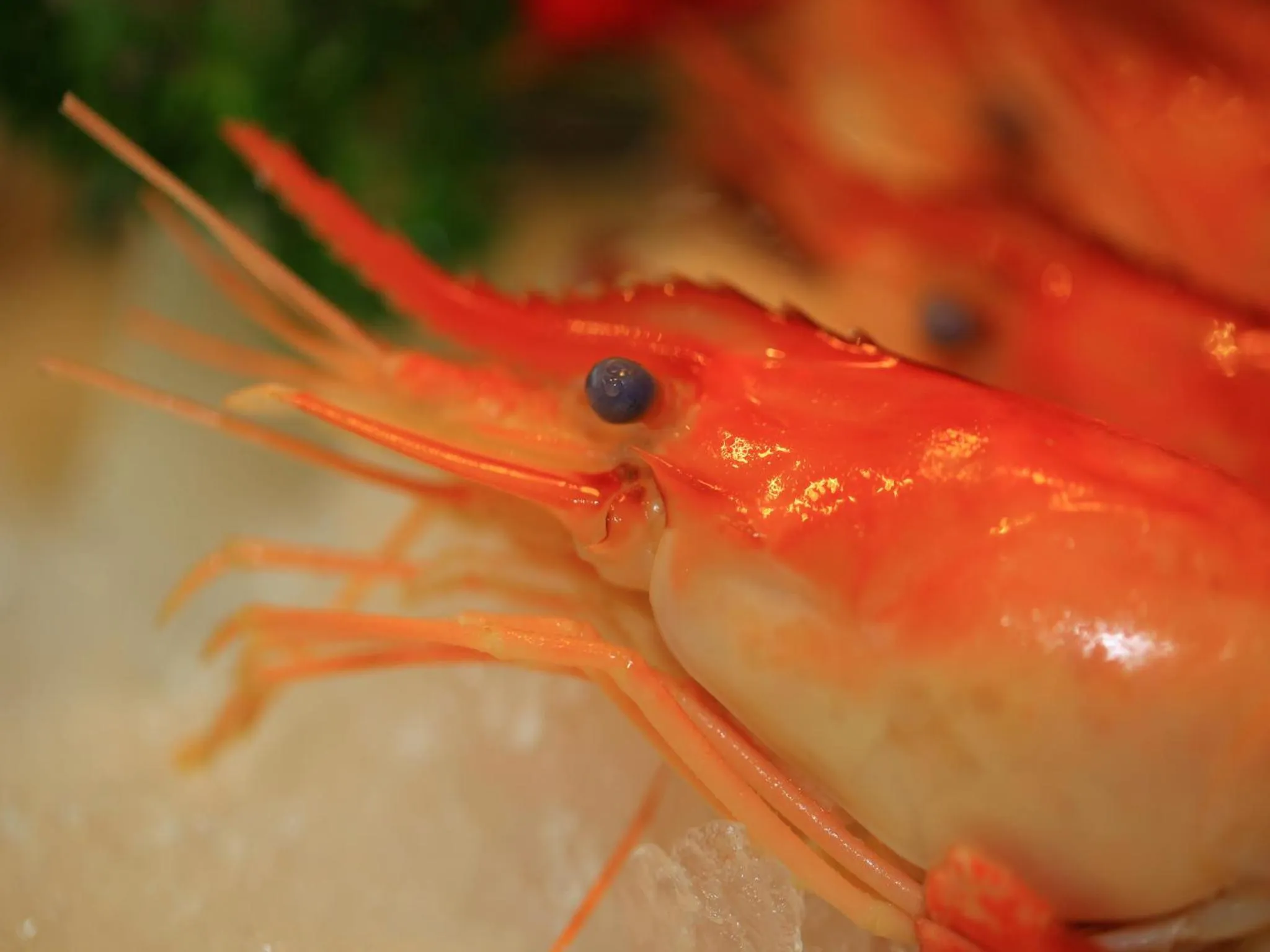 Food and drinks in Zhuhai Charming Holiday Hotel - 24hours stay