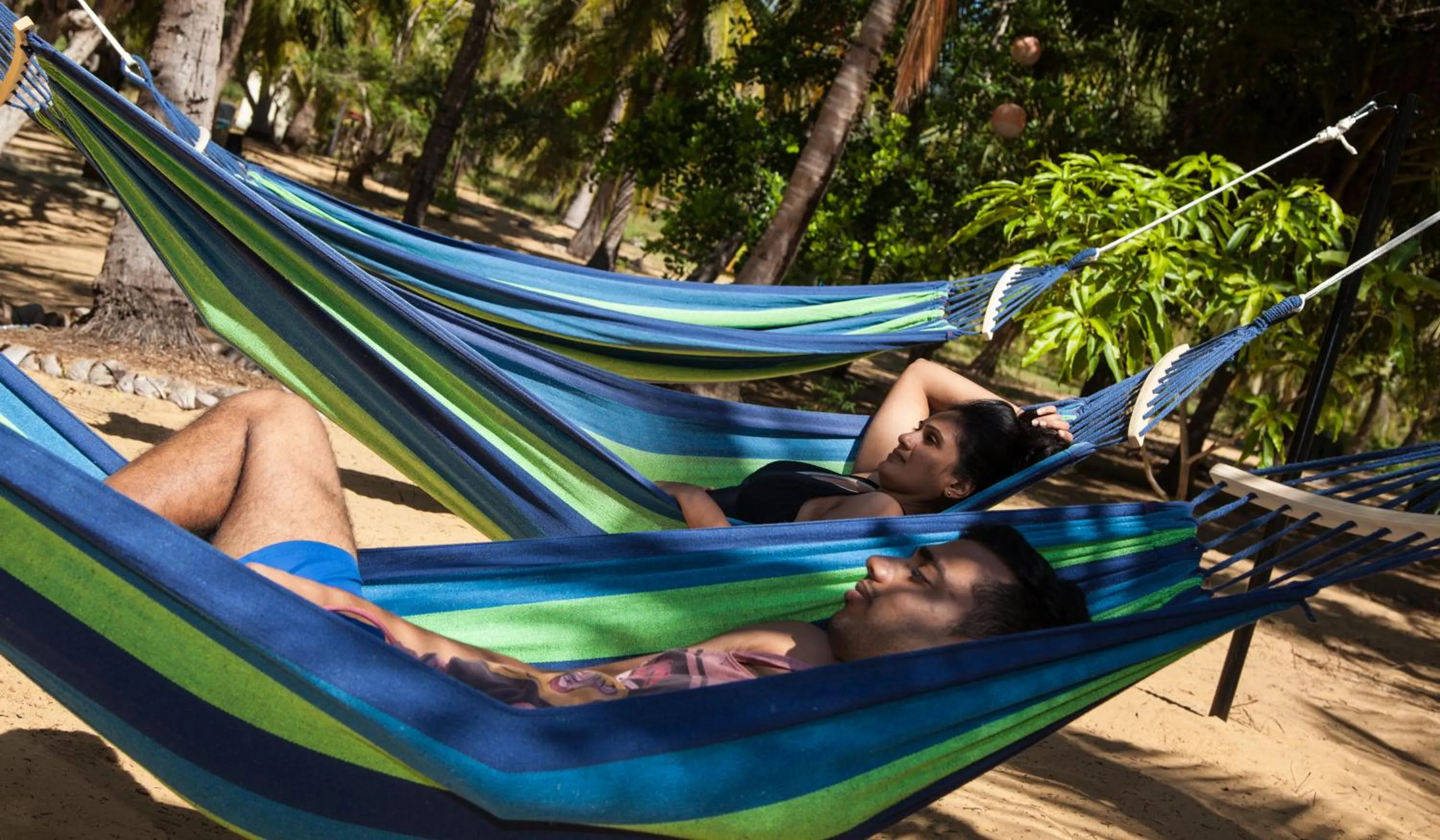Garden view in Majestic Beach Retreat